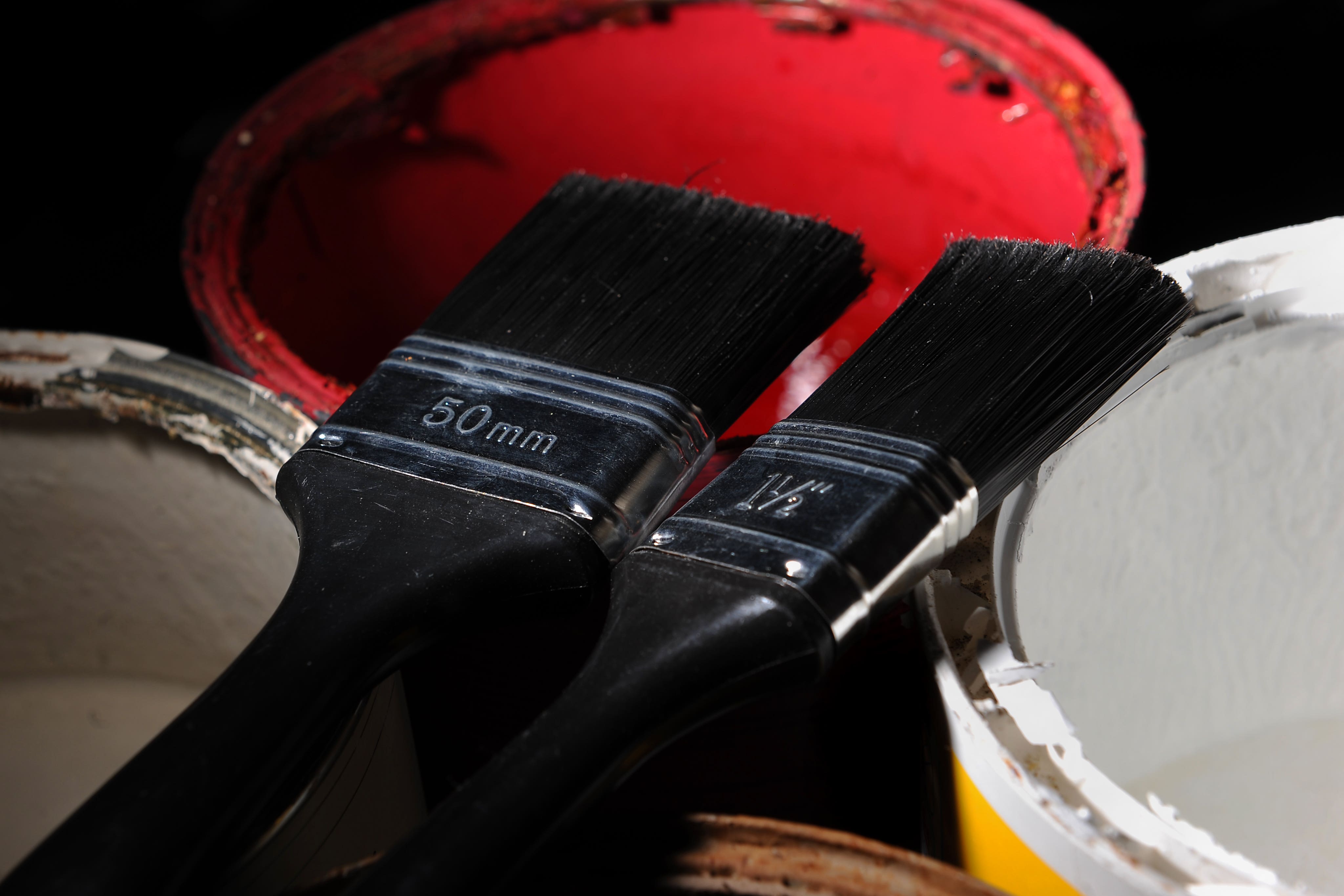 Bold paint colours have been popular younger homeowners, according to the research for Compare the Market (Joe Giddens/PA)