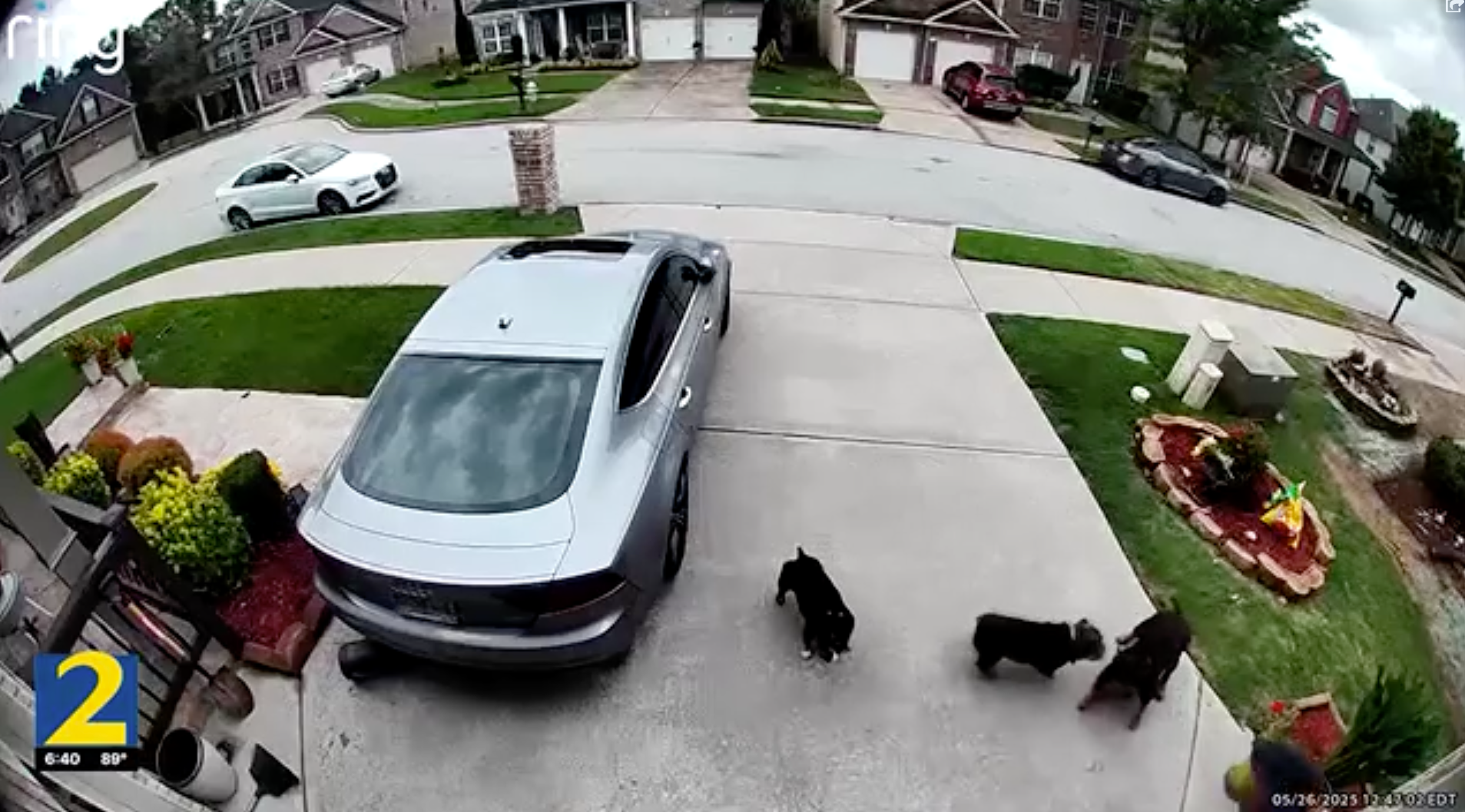 Melody and Michael Barnhill say their neighbor’s three dogs attacked them unprompted on Memorial Day. The entire incident was caught on the family’s home camera.