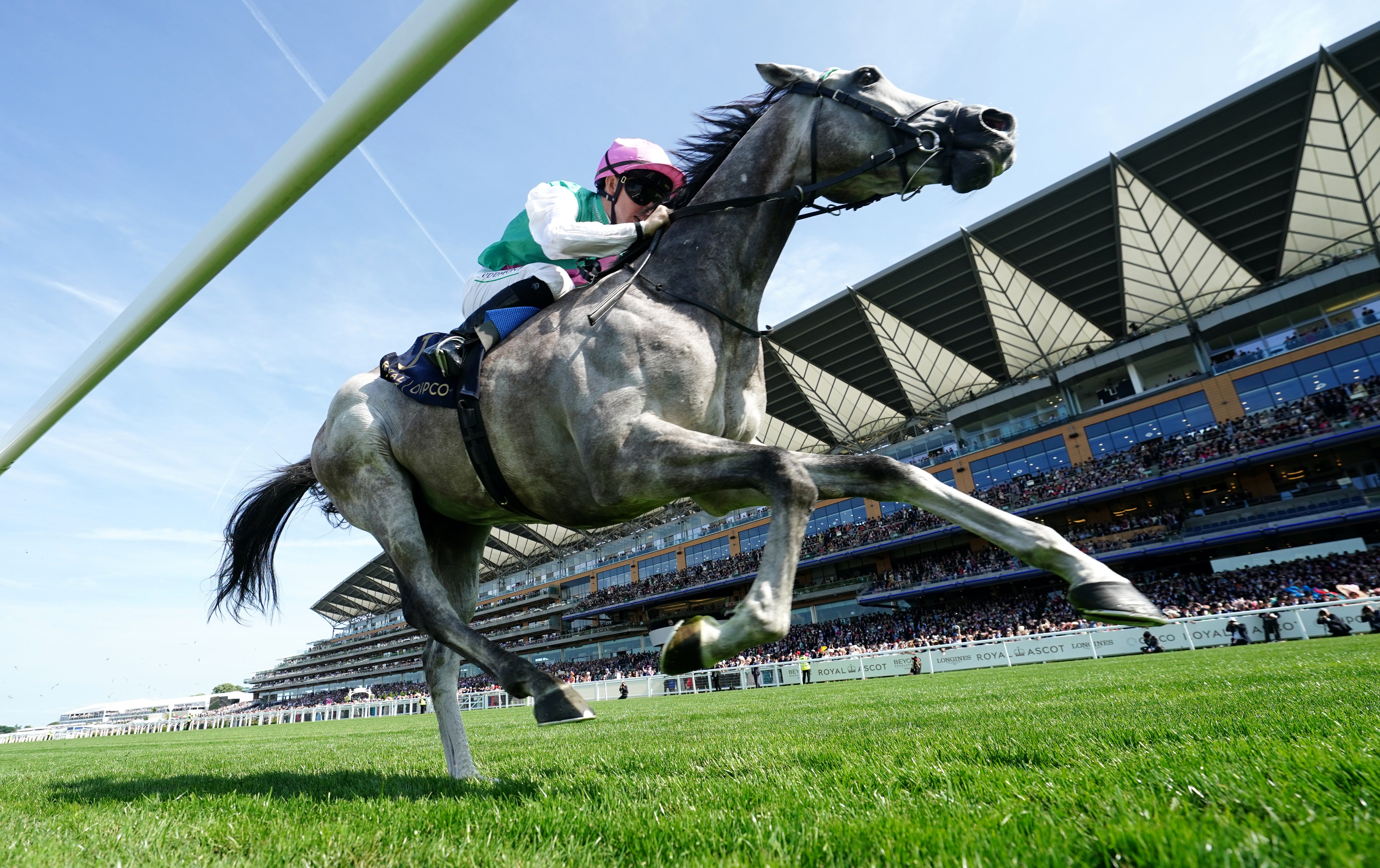 <p>Field Of Gold proved victorious in the St James's Palace Stakes at Royal Ascot</p>