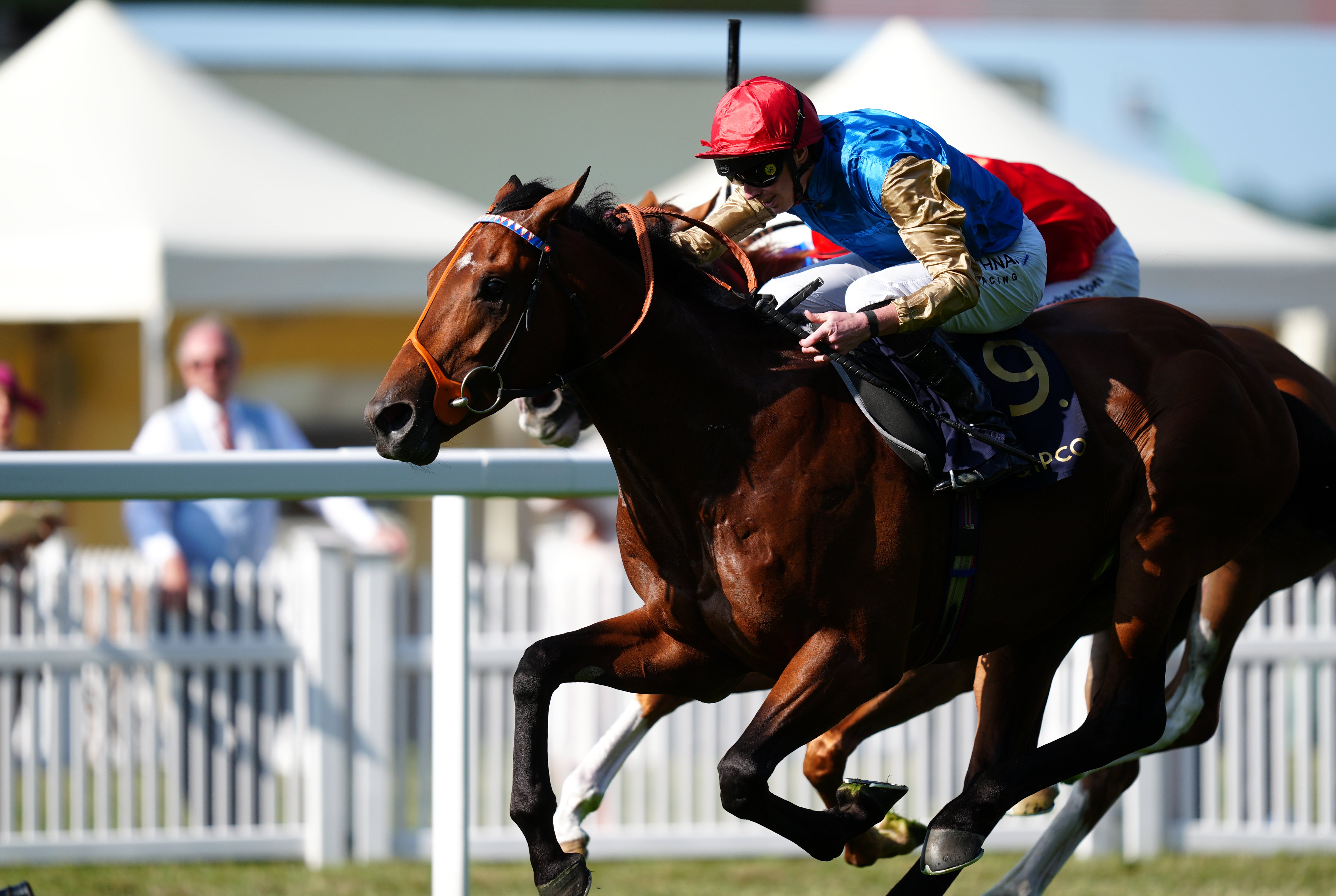 Haatem won the Wolferton Stakes on day one at Royal Ascot