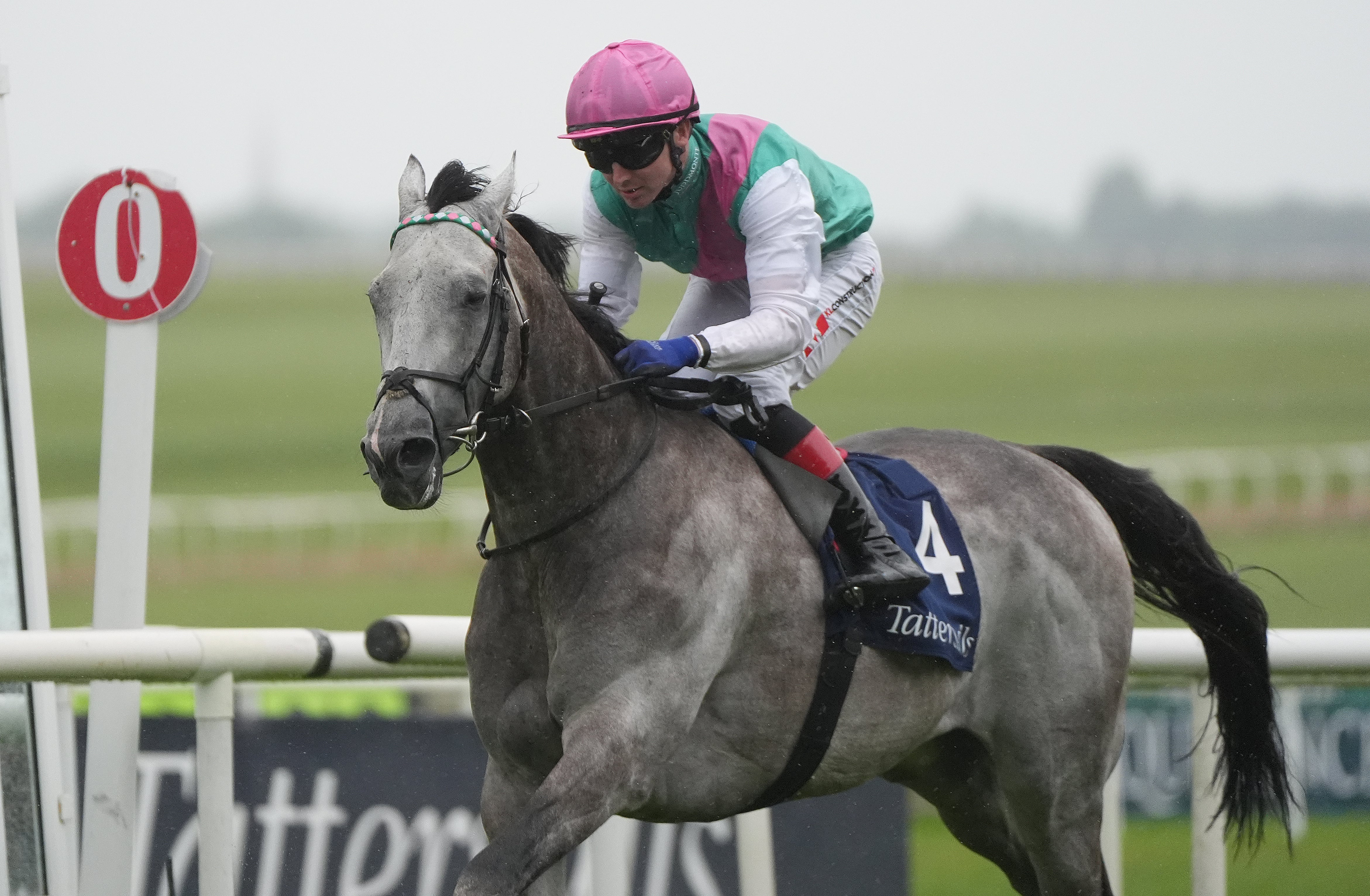 NetBet are offering 40/1 enhanced odds on Field Of Gold to win St James’s Palace Stakes