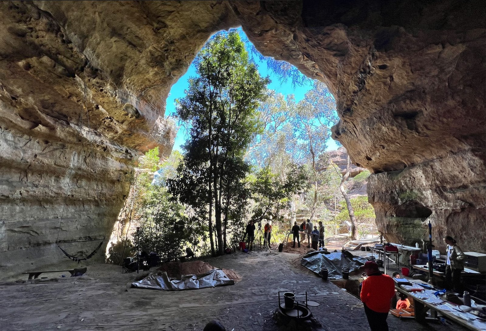 Dargan Shelter on Dharug Country in upper Blue Mountains