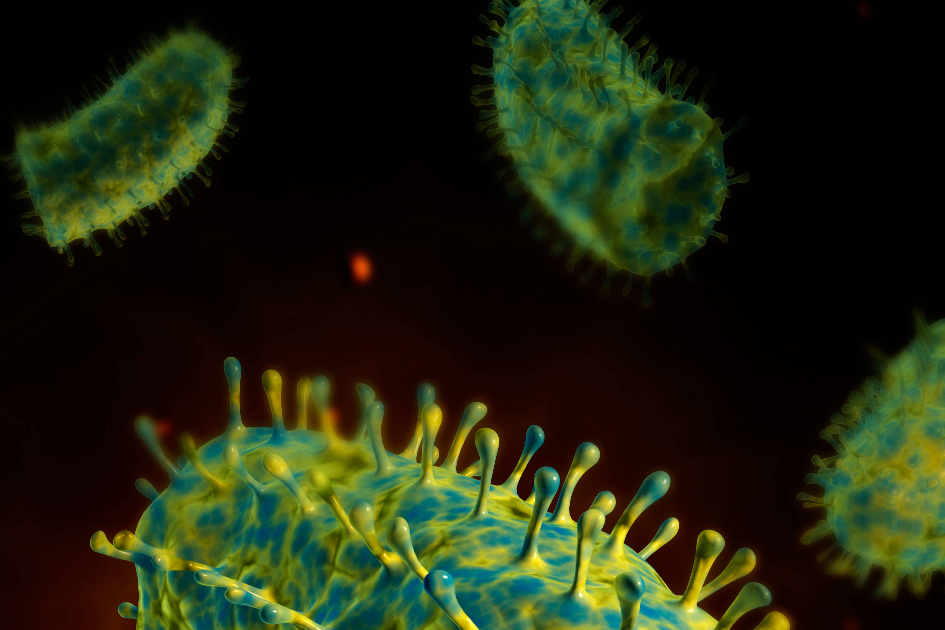 Conceptual image of rabies virus (Alamy/PA)