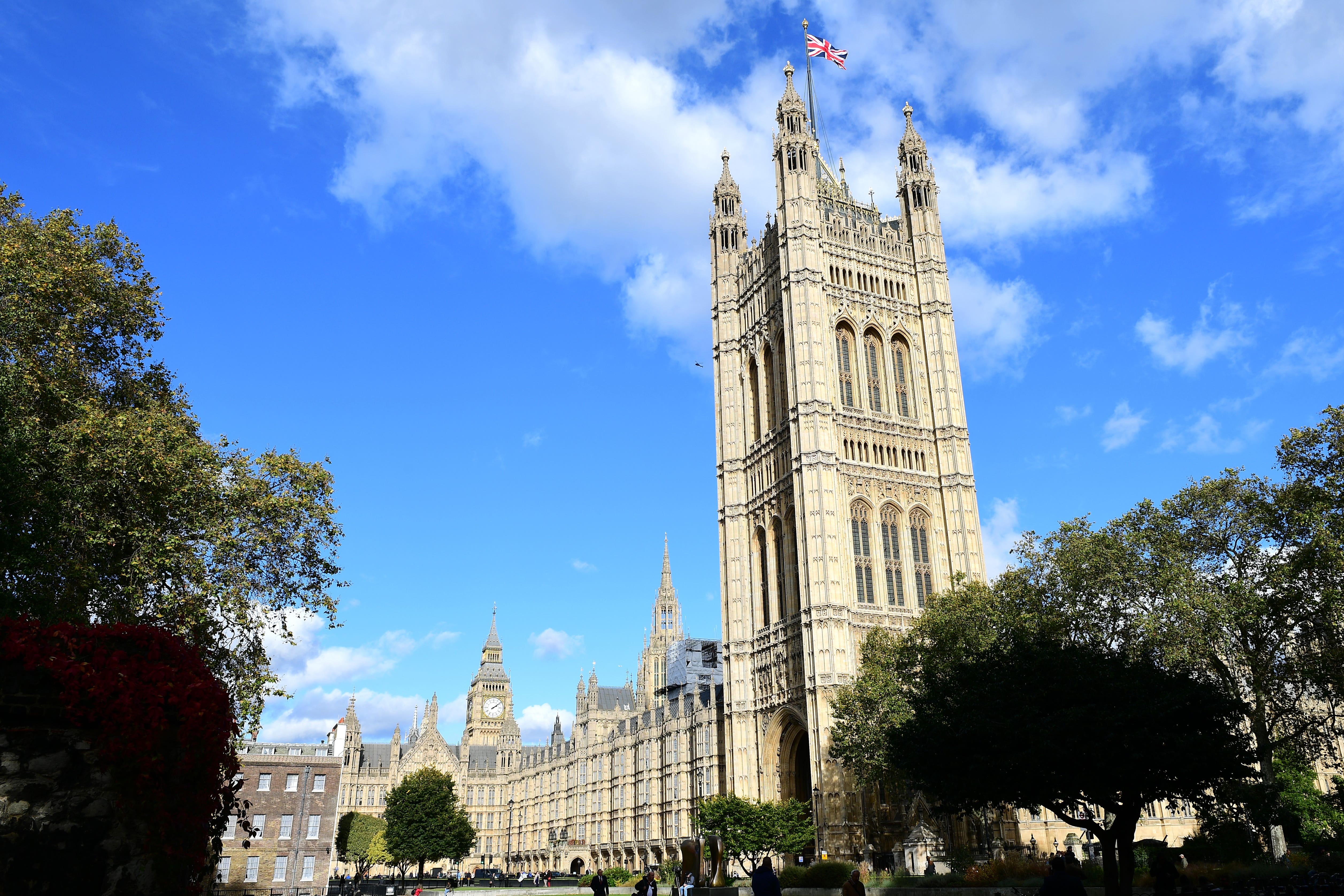 The historical estate provides an ideal habitat for problematic pests, such as mice (PA/Ian West)