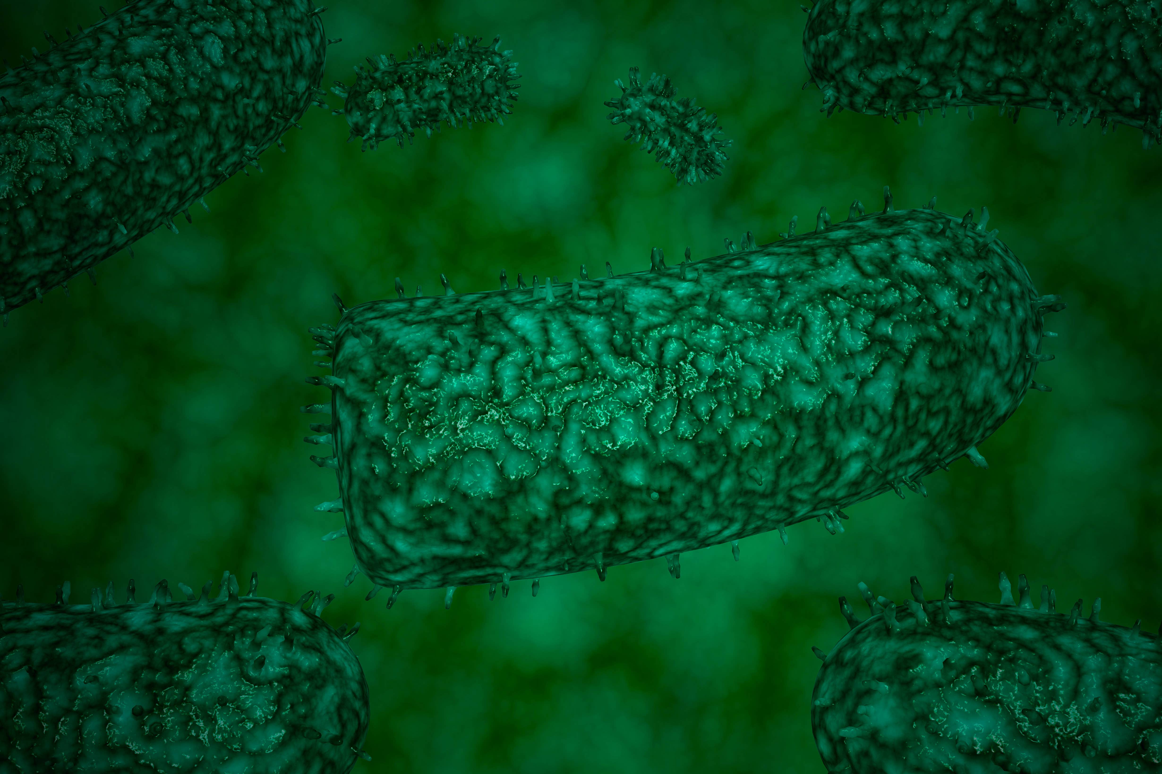 The woman died in hospital back in the UK, it is understood (Alamy/PA)