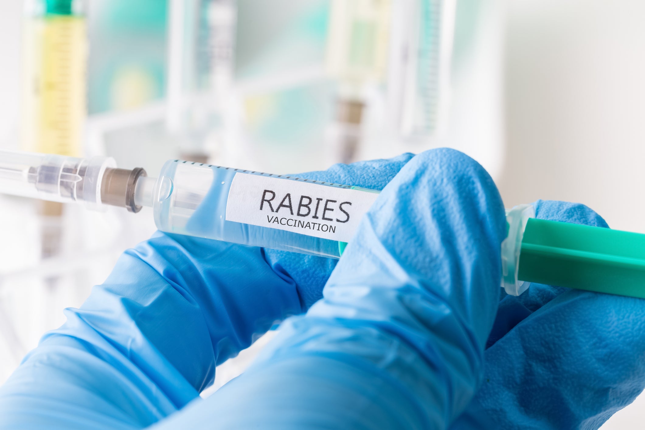 Rabies: What are the symptoms and how to get a vaccine?