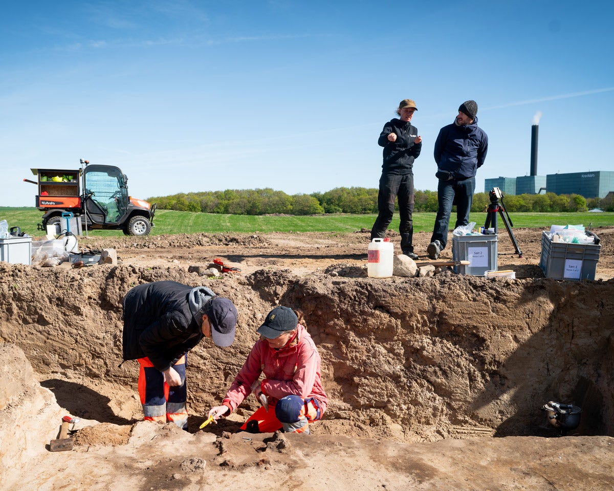 Archaeologists excavate Viking burial site at Lisbjerg near Aarhus