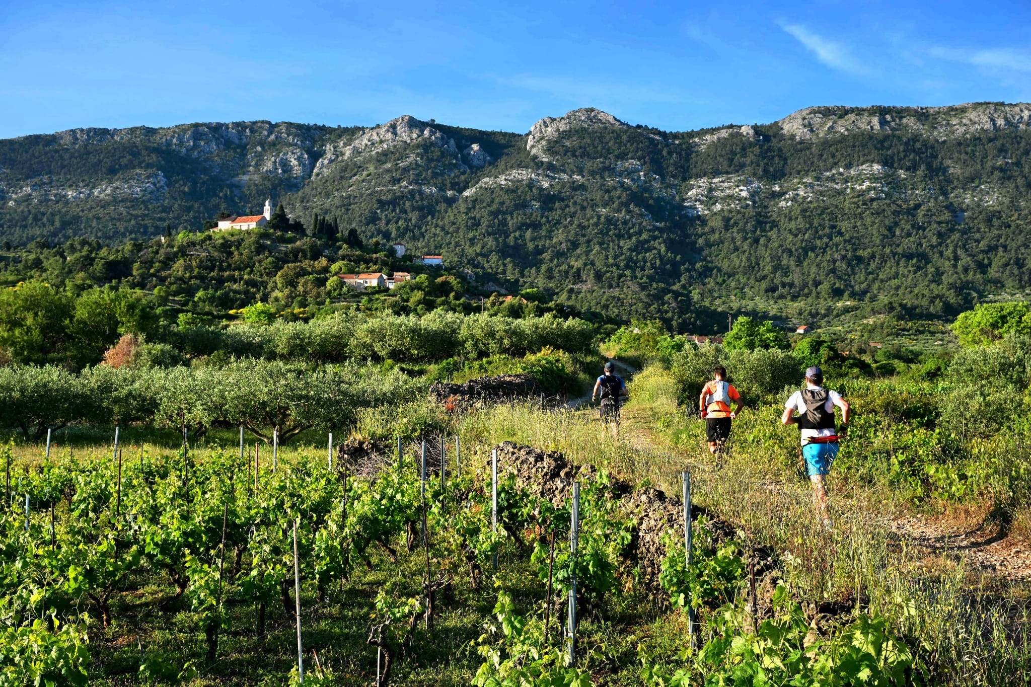 The Tour de Hvar trail run threads through mountain scenery and vineyards