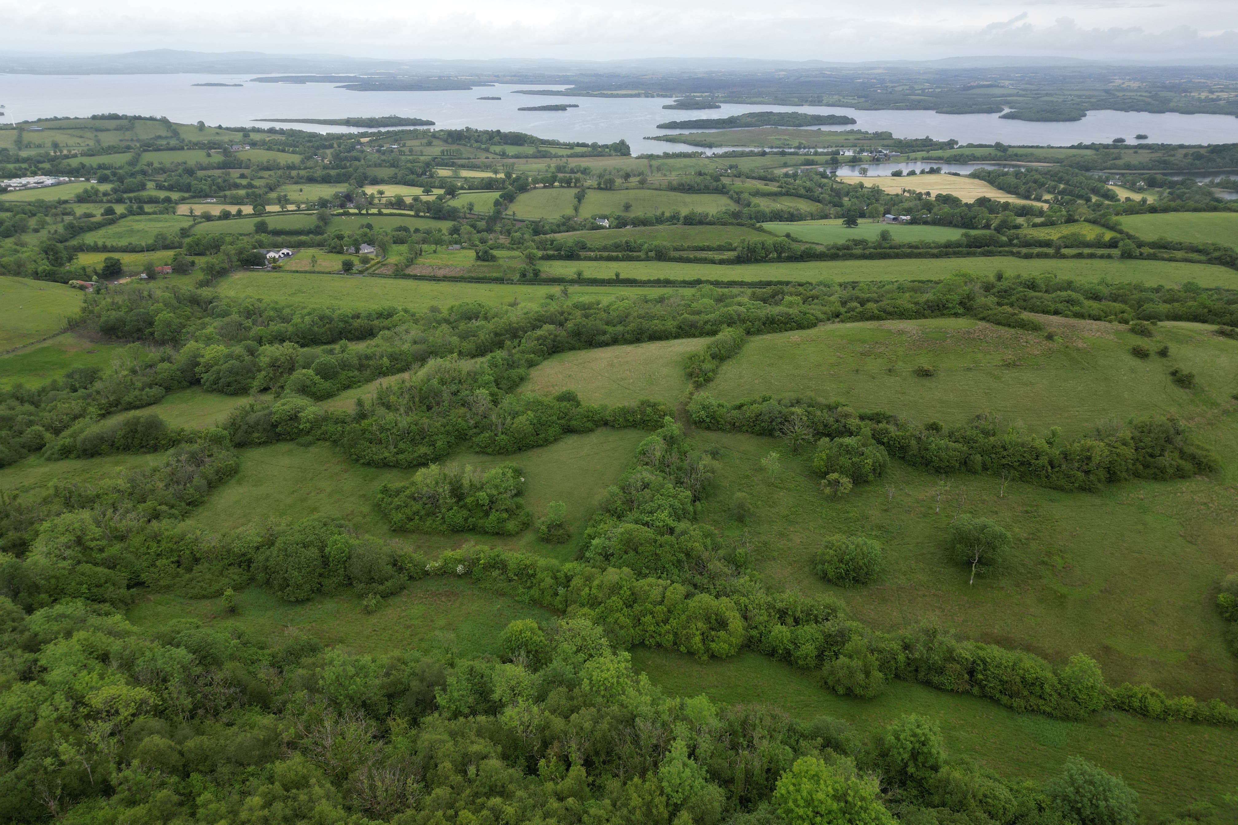 A view across the species-rich grasslands and ancient woodland of Fedian Nature Reserve, overlooking Lough Erne – a unique 90-acre farmland haven which has now been secured for nature by Ulster Wildlife (UlsterWildlife/PA)