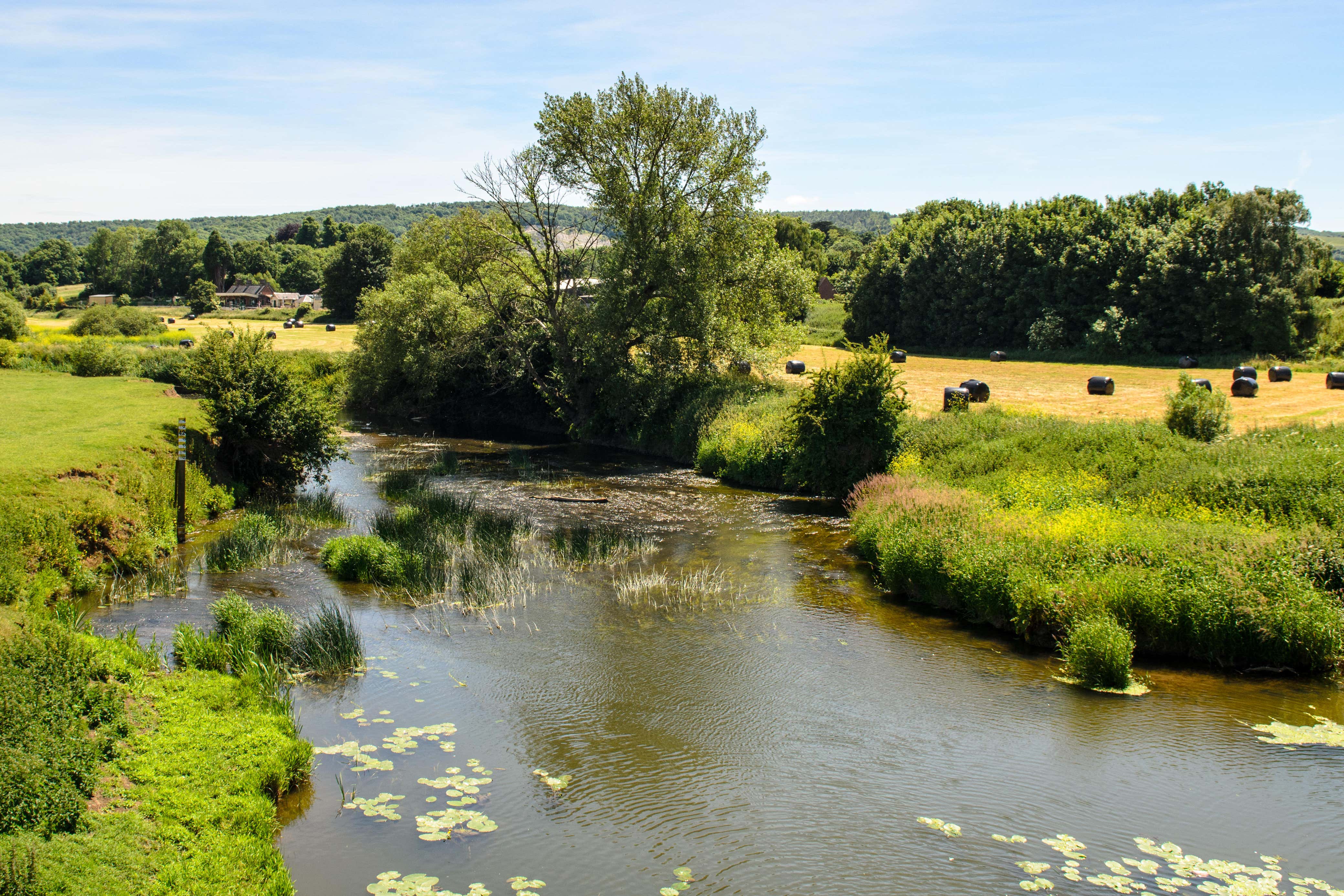 Sewage fines will go to environmental projects, Government confirms (Alamy/PA)