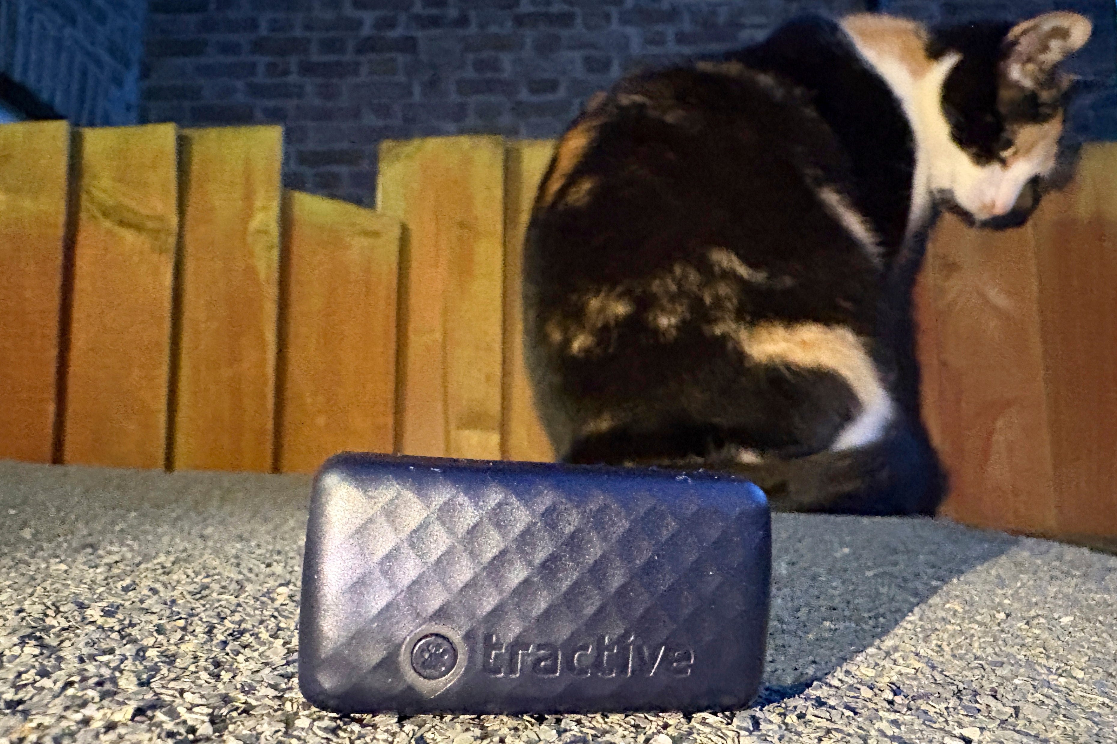 One Tech Tip Tracking Your Pet