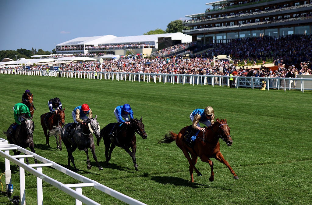 There have already been plenty of surprises this week at Royal Ascot