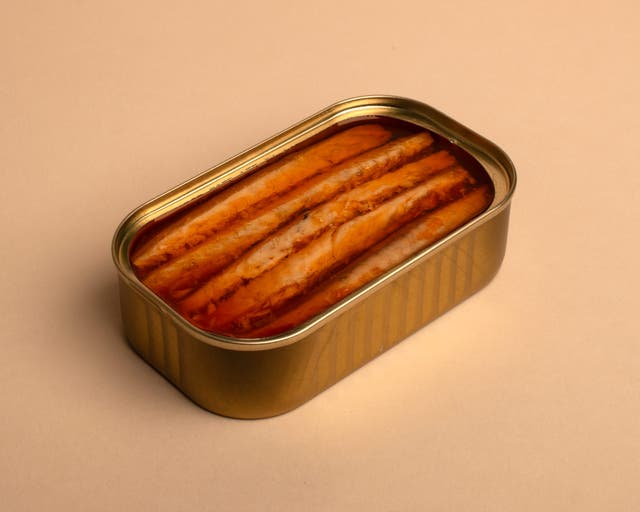 <p>Pinhais mackerel: caught at dawn, tinned by lunch – proof that the simplest things can still feel like a luxury</p>