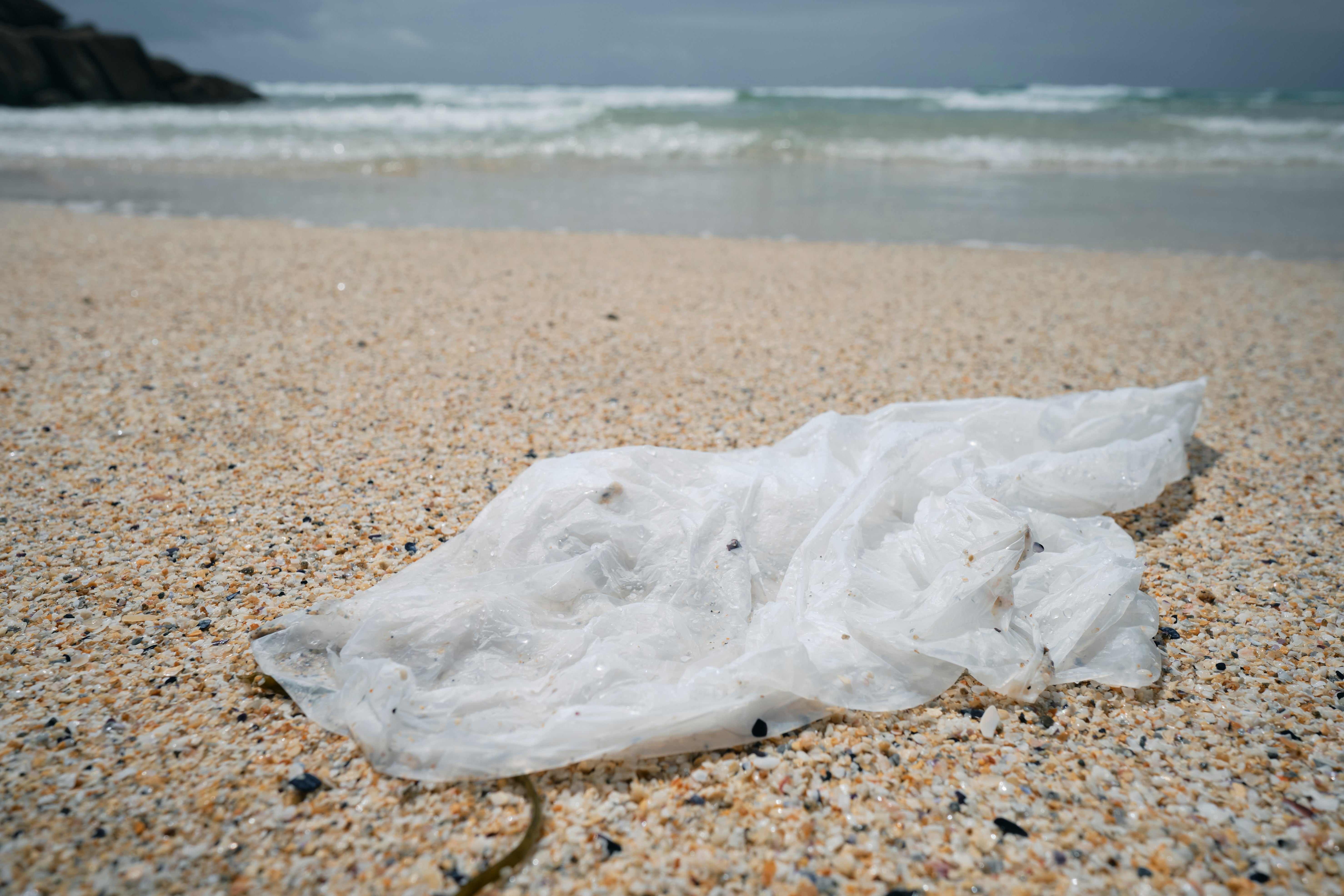 Fewer plastic shopping bags end up on shorelines in areas with bans or fees, according to a new study