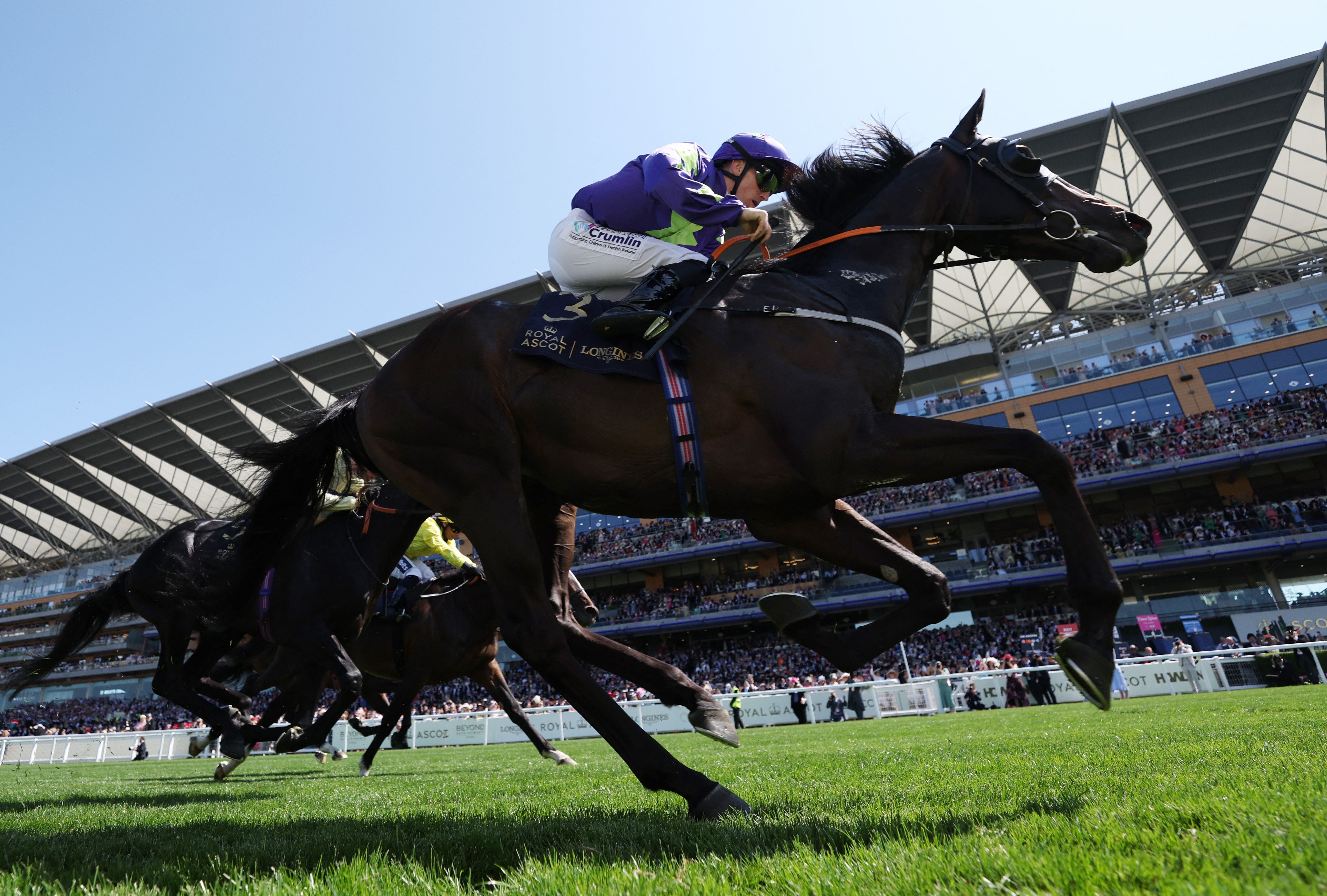 <p>Check out the latest odds for Royal Ascot this week</p>