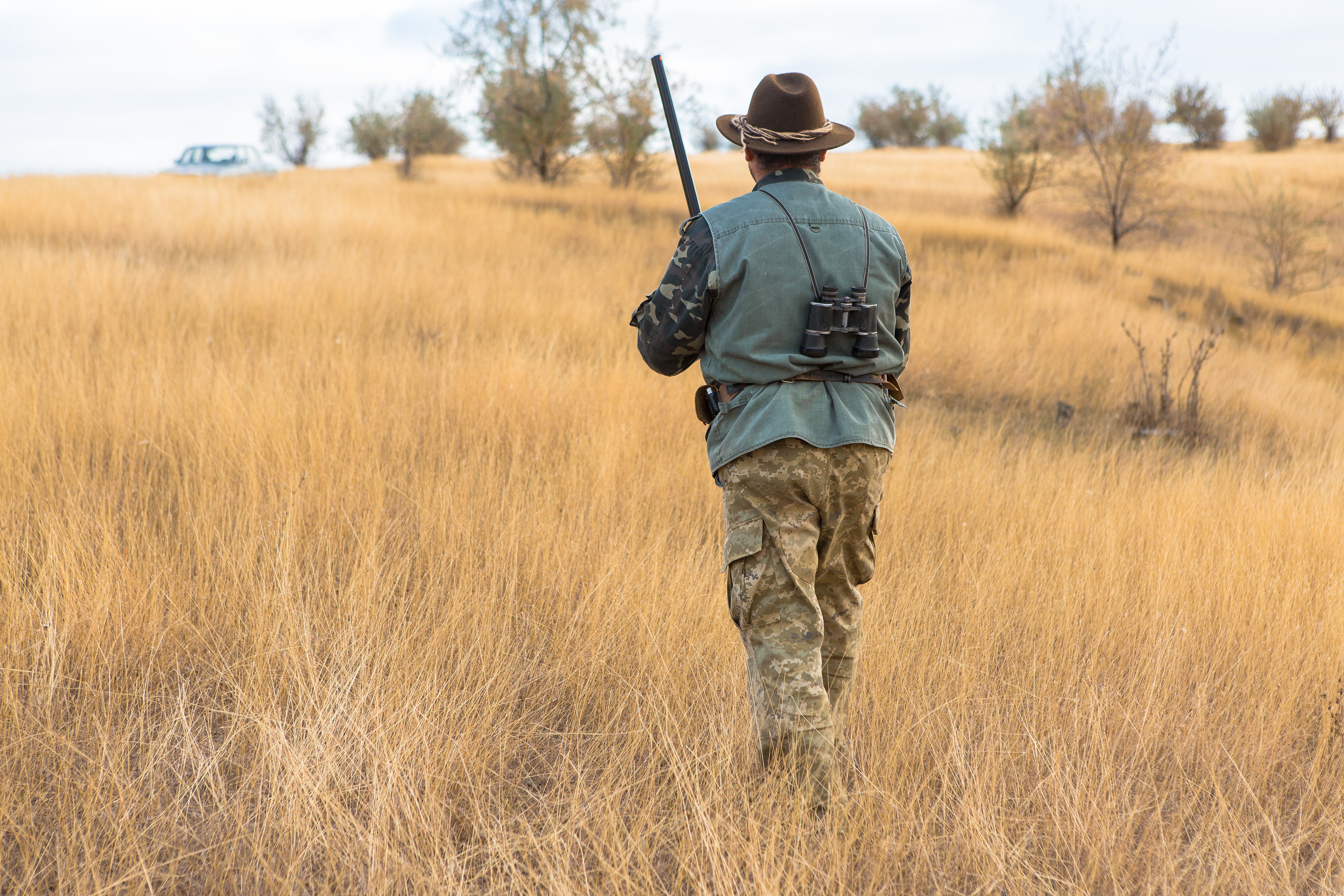 More than half of giraffe trophy hunters were American but 21 brought trophies back to the UK
