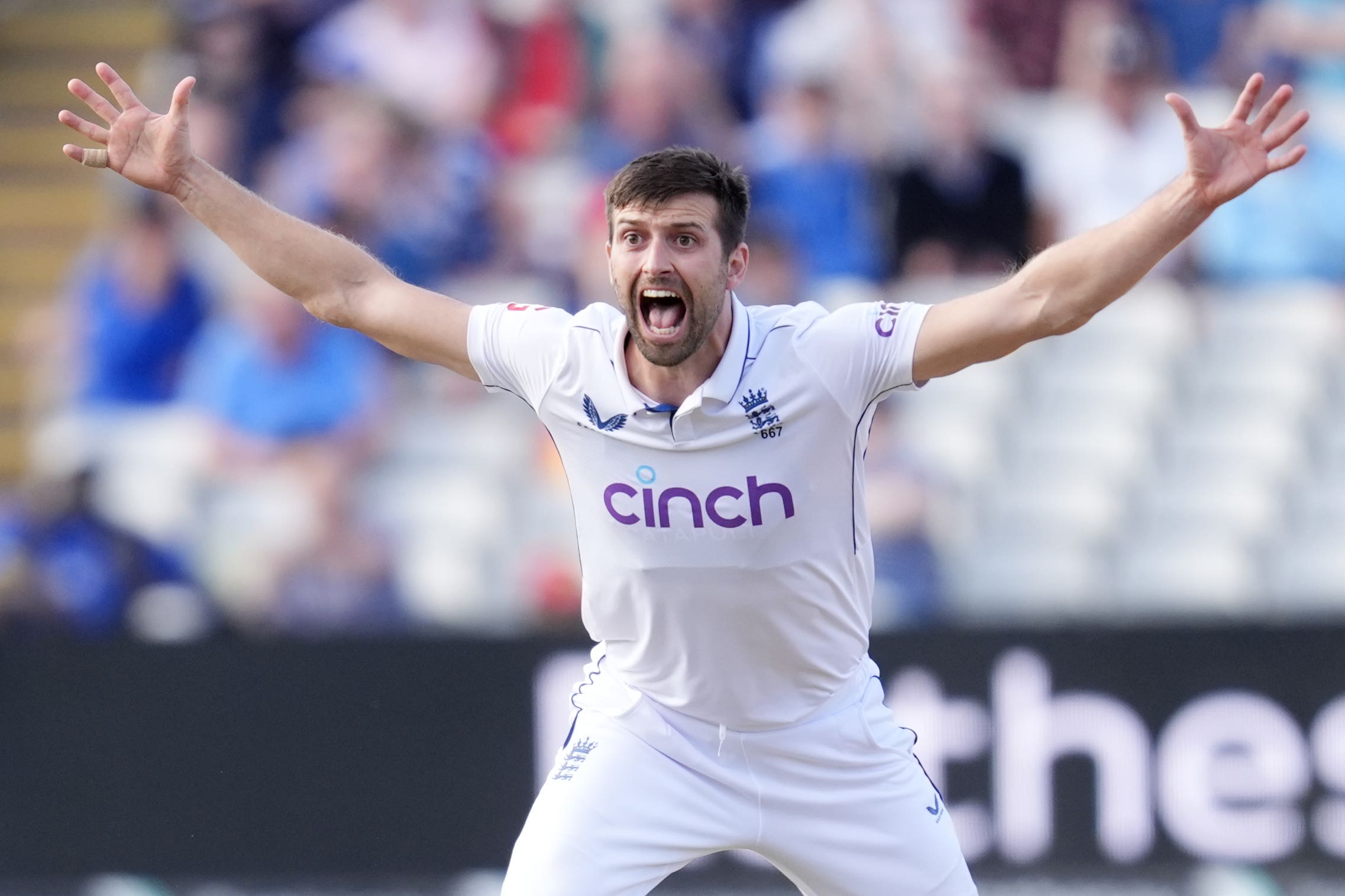 Mark Wood played his last Test over a year ago