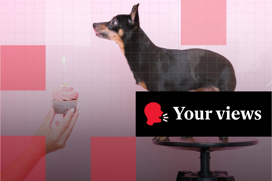 Would you throw your dog a birthday party?
