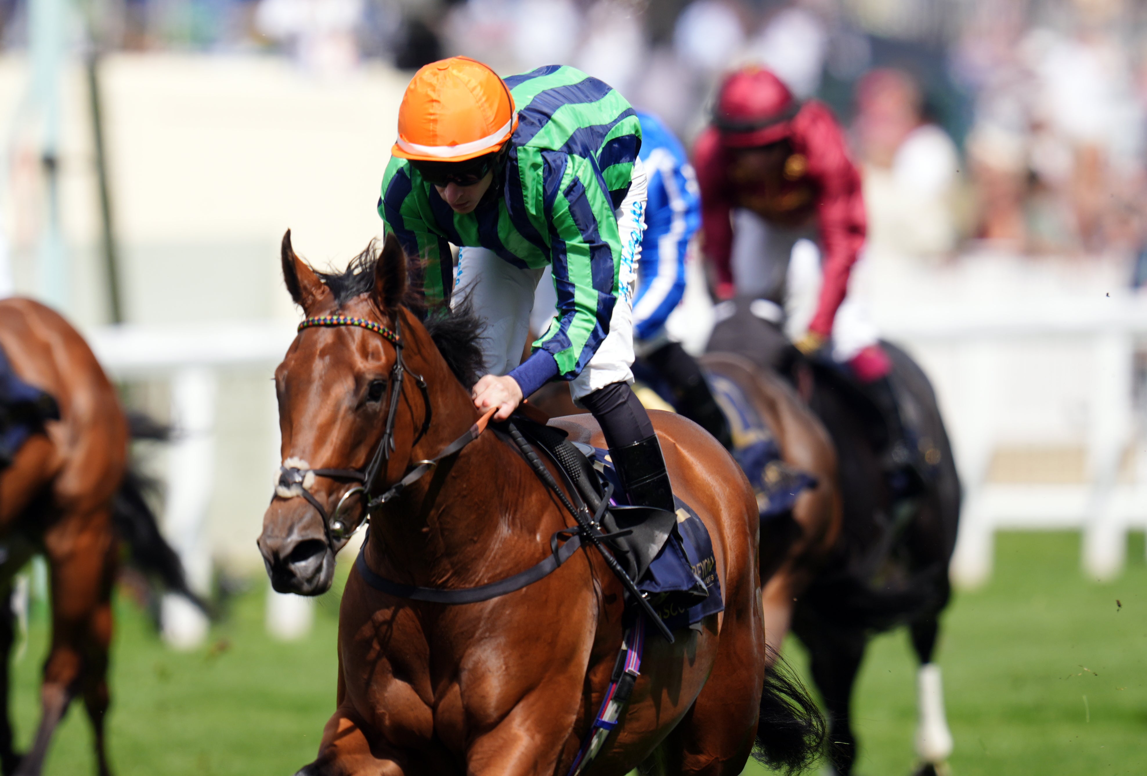 Time For Sandals won the Commonwealth Cup at odds of 25/1