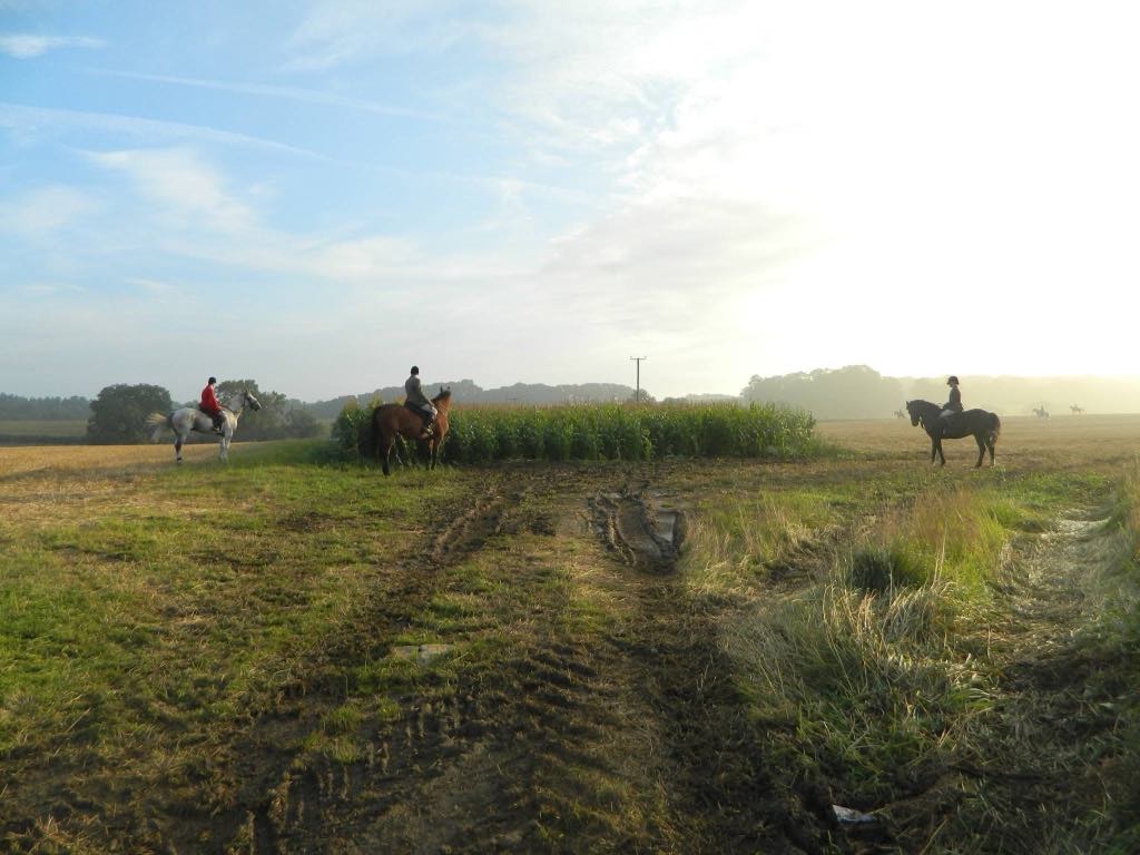 Hunts have been emboldened by the lack of law reform, say opponents