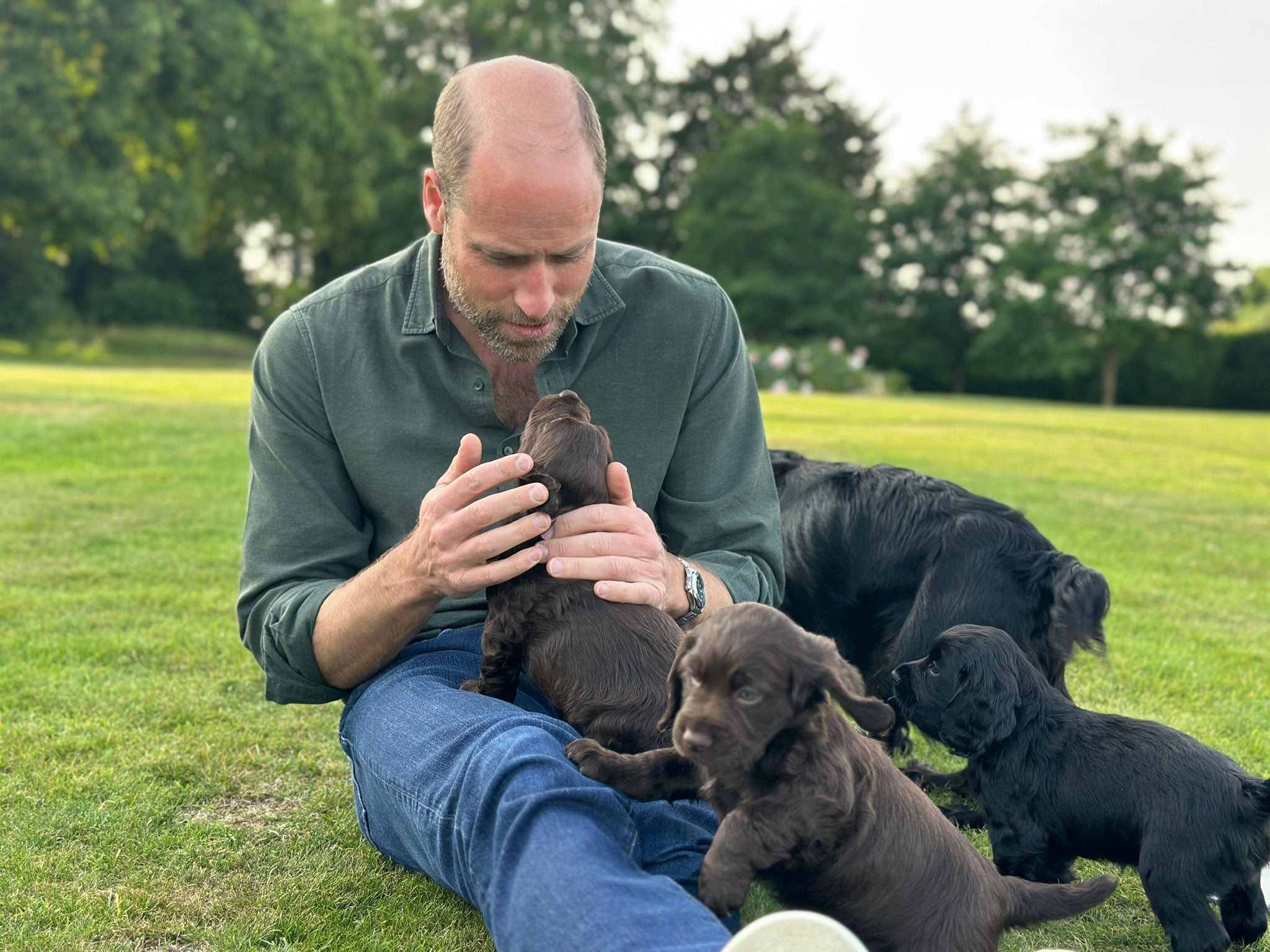 <p>William marked his 43rd birthday on Saturday with a picture of him with cocker spaniel Orla and three of the four puppies she gave birth to last month</p>