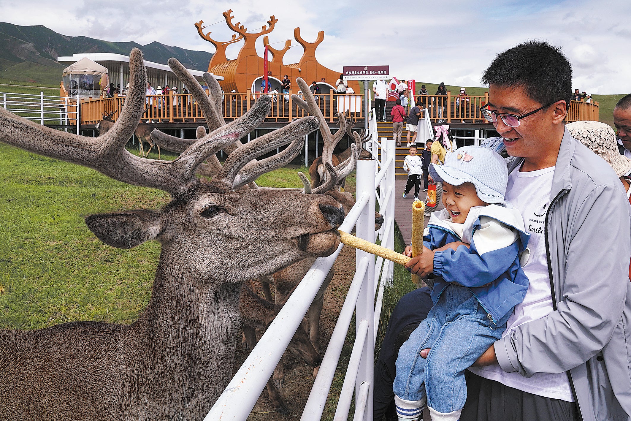 Tourists feed red deer at a park at the foot of the Qilian Mountains in Sunan, Gansu province, in July 2024