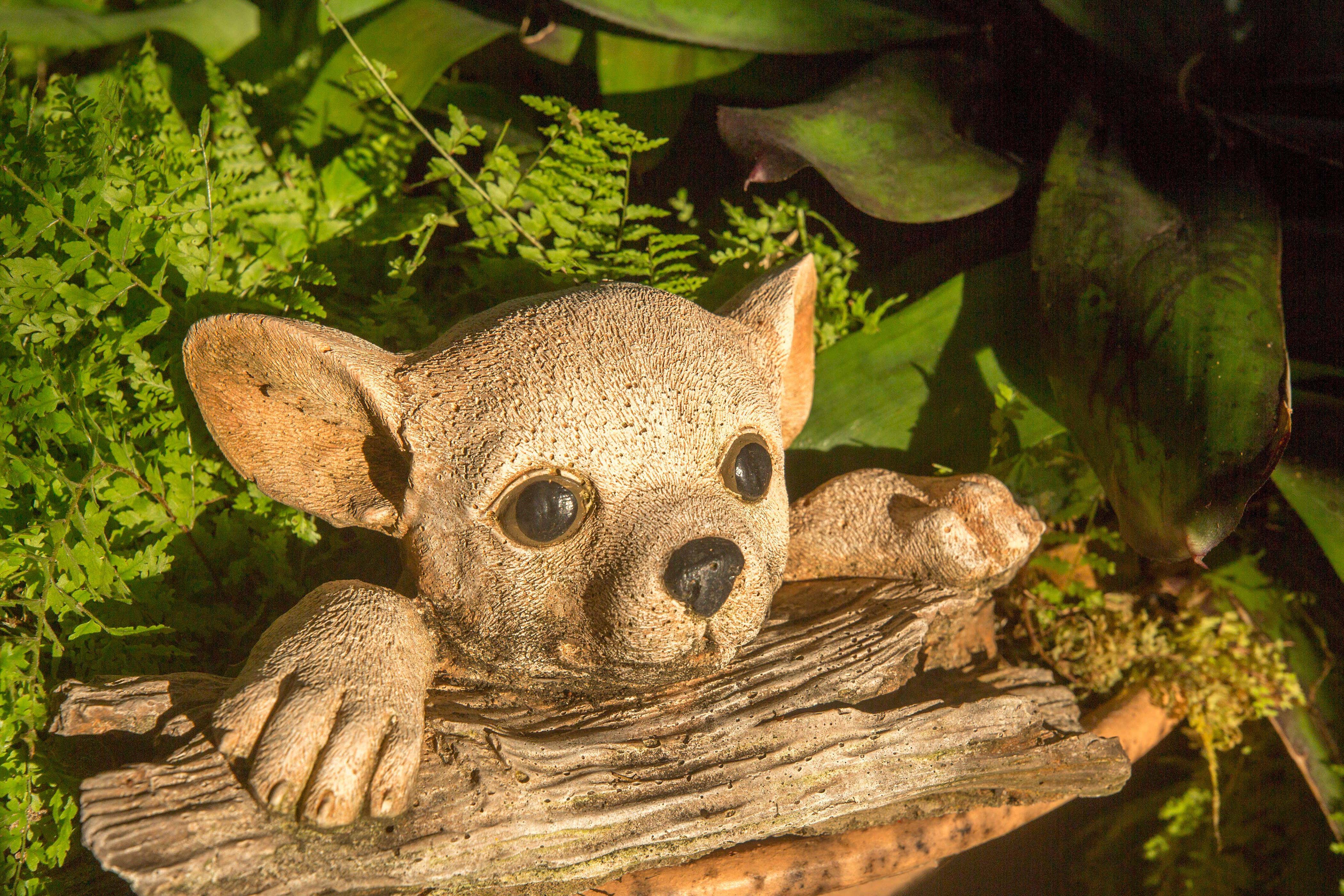 From ambient lighting and wall art to a kids’ discovery zone, here’s how to add interest to your garden (Alamy/PA)