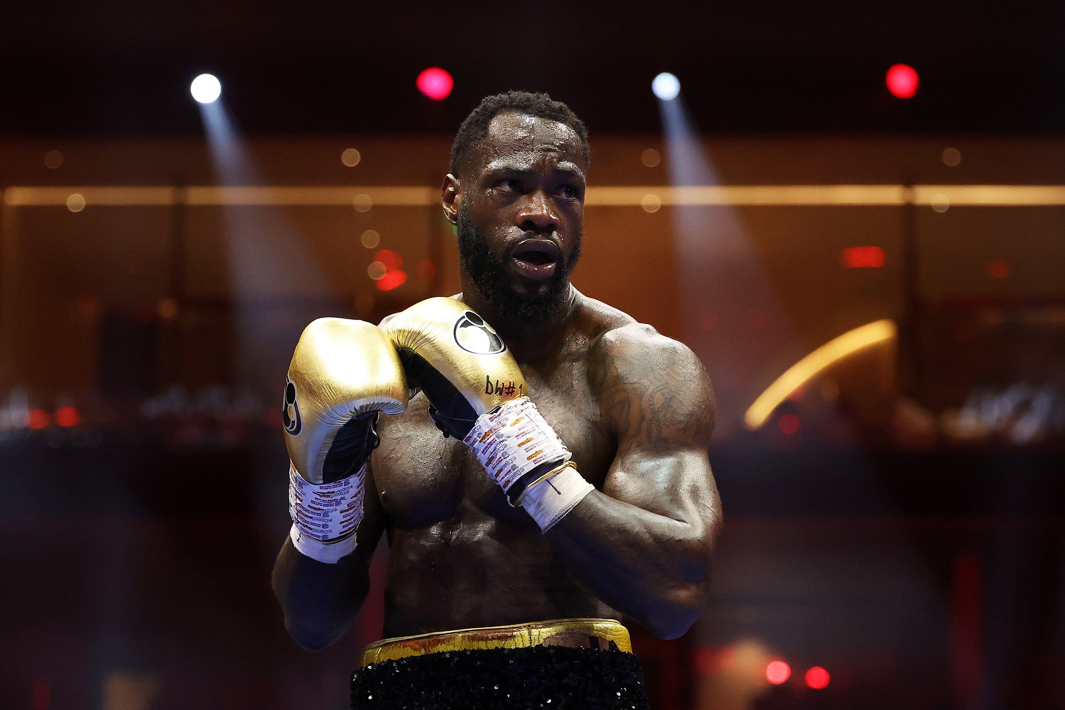 Deontay Wilder naposledy bojoval v červnu a zastavil Tyrell Anthony Herndon