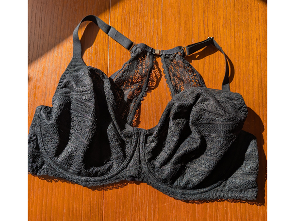 Best bra for bigger bust IndyBest review Bravissimo Alicia bra