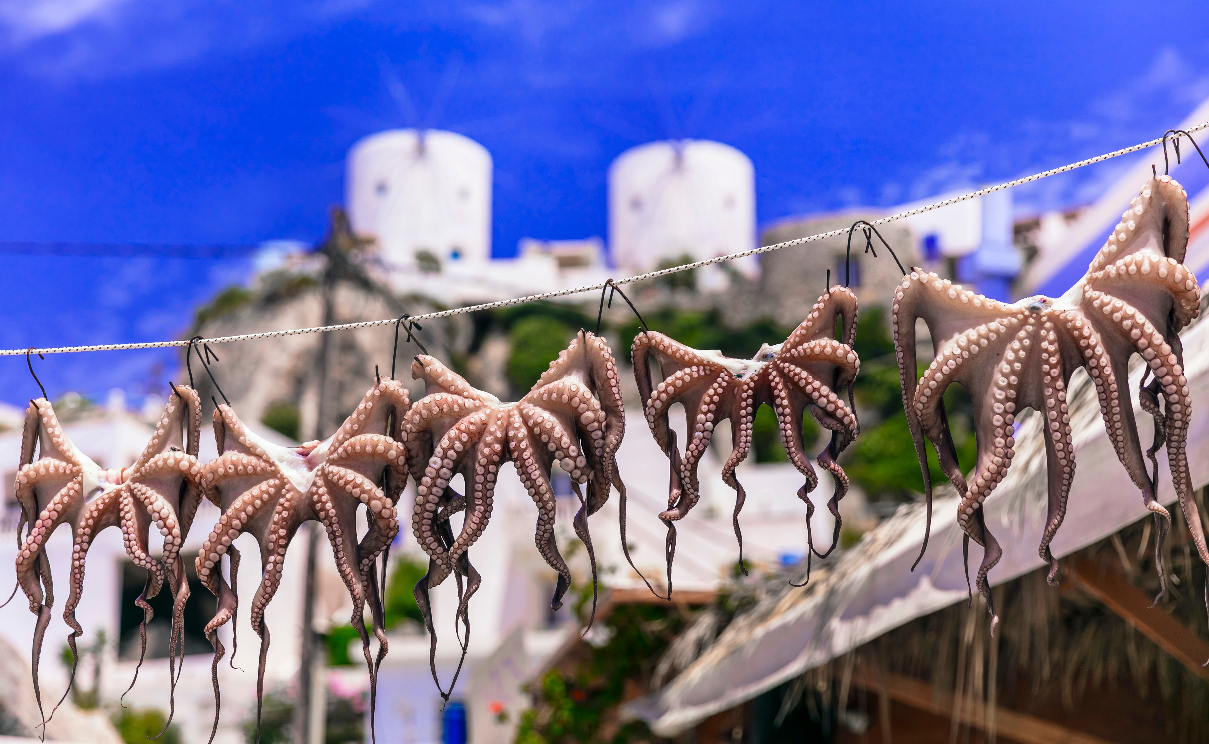 Sun-dried octopus is served grilled at many of Leros’s tavernas
