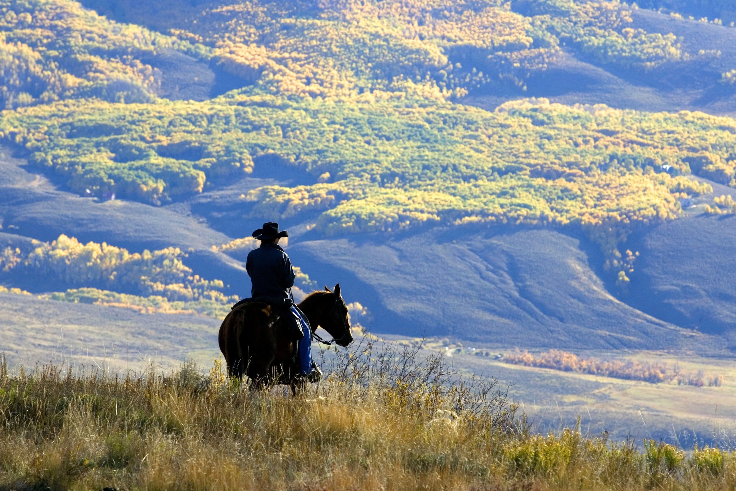 Roadless Rule National Forests