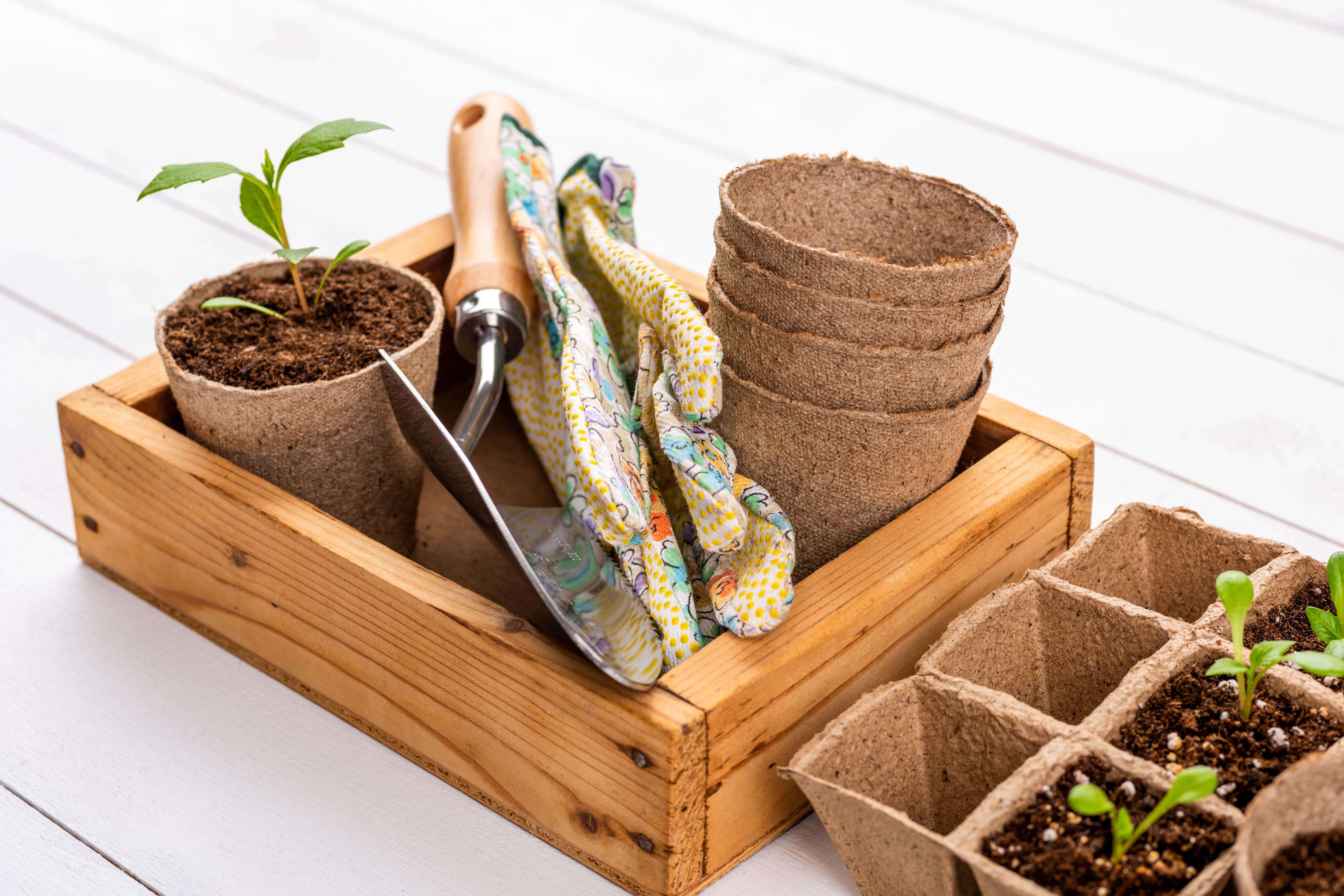 Make sustainable swaps when it comes to your gardening tools (Alamy/PA)