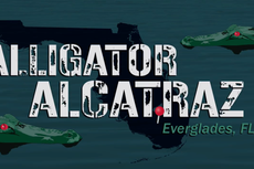 MAGA star skewered for gleefully promoting ‘official Alligator Alcatraz merch’: ‘The banality of evil’