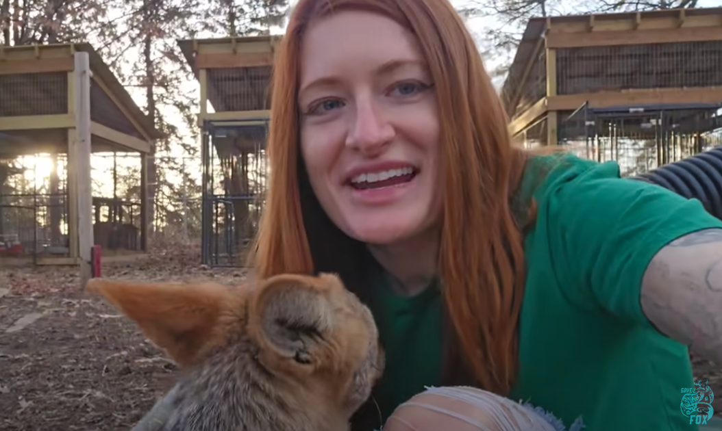 Mikayla Raines launched her animal rescue organisation Save a Fox when she was 20 years old