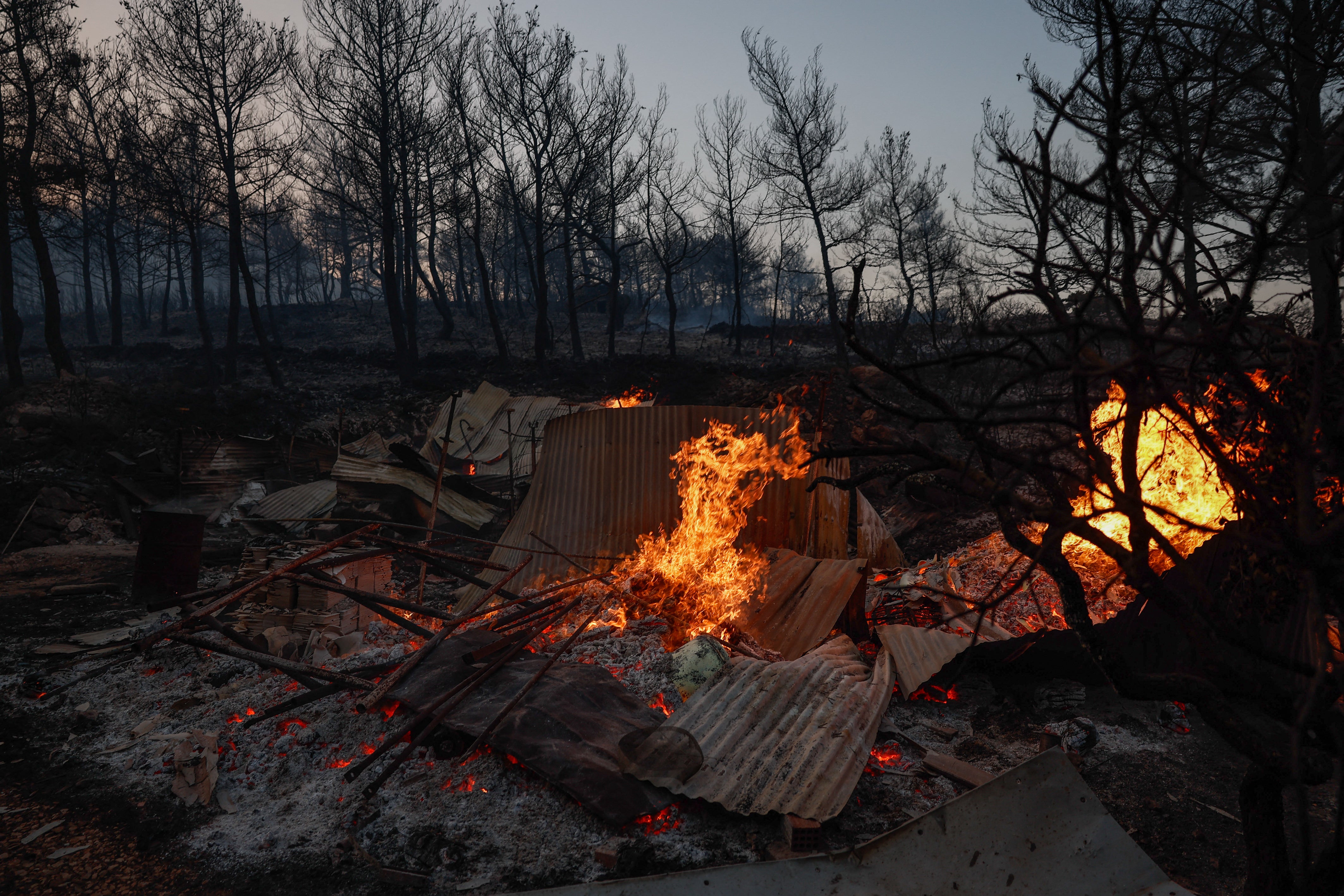 The debris of a burnt sheepfold during a wildfire on Chios