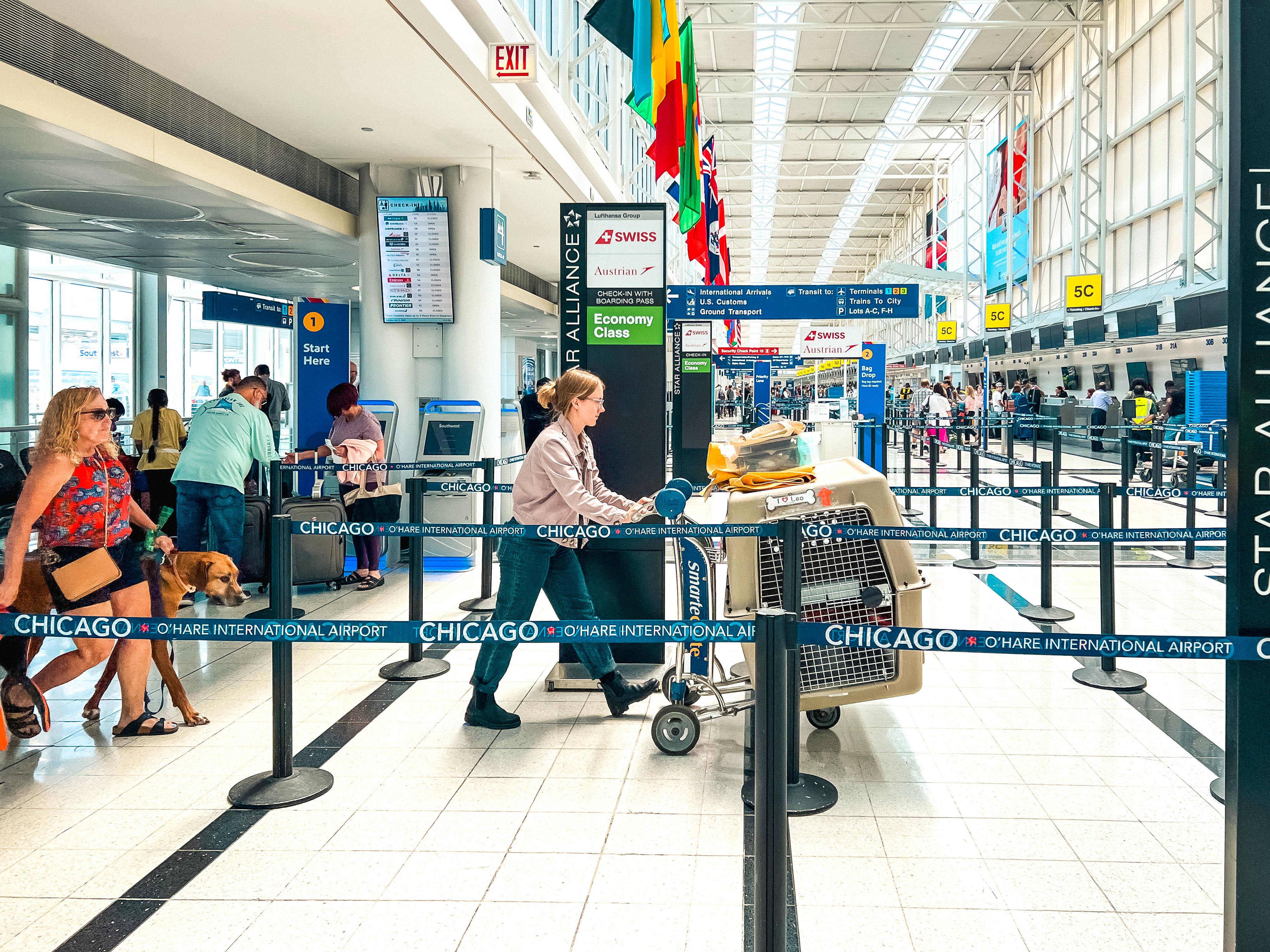 Travel influencer Georgia Fowkes describes Chicago O'Hare as a 'layover marathon'