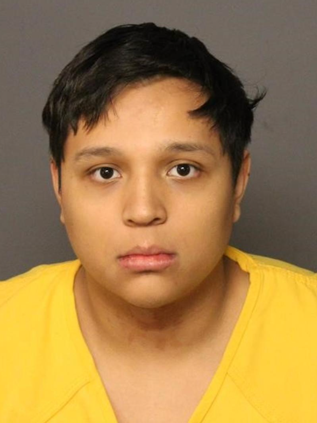 Vigil will be sentenced in August