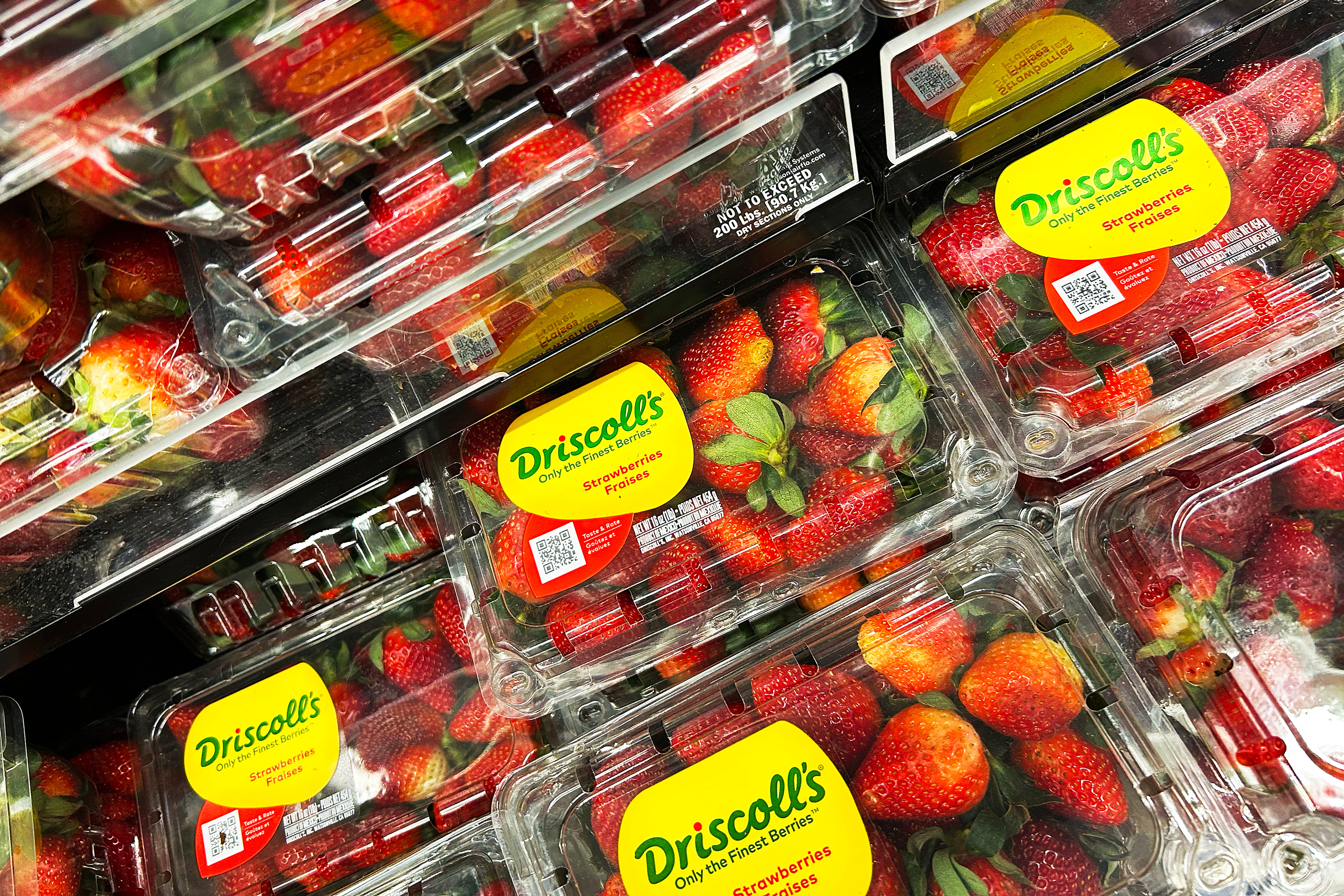 The berries are largely recognized as superfallments. They strengthen heart health