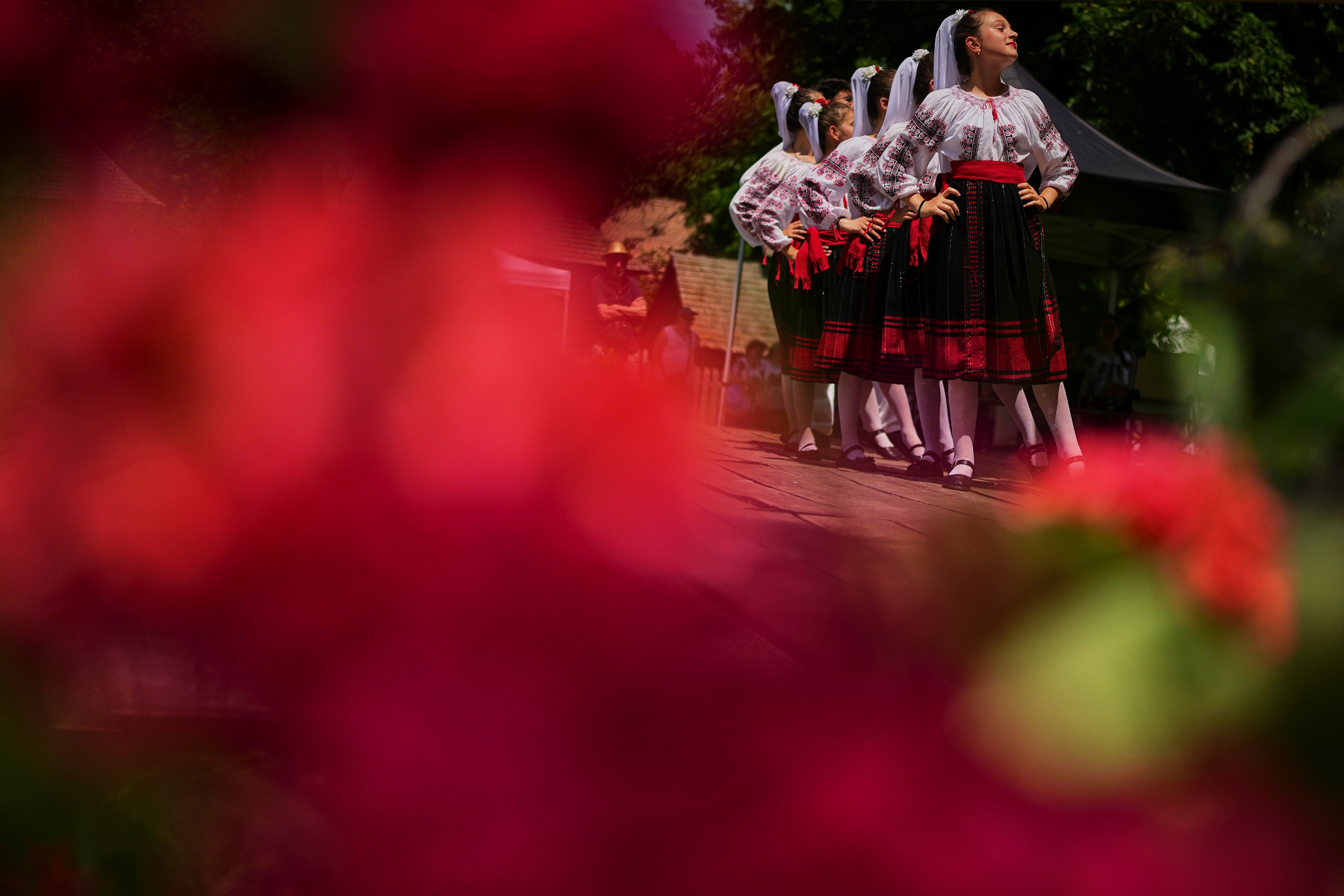 Romania Summer Solstice