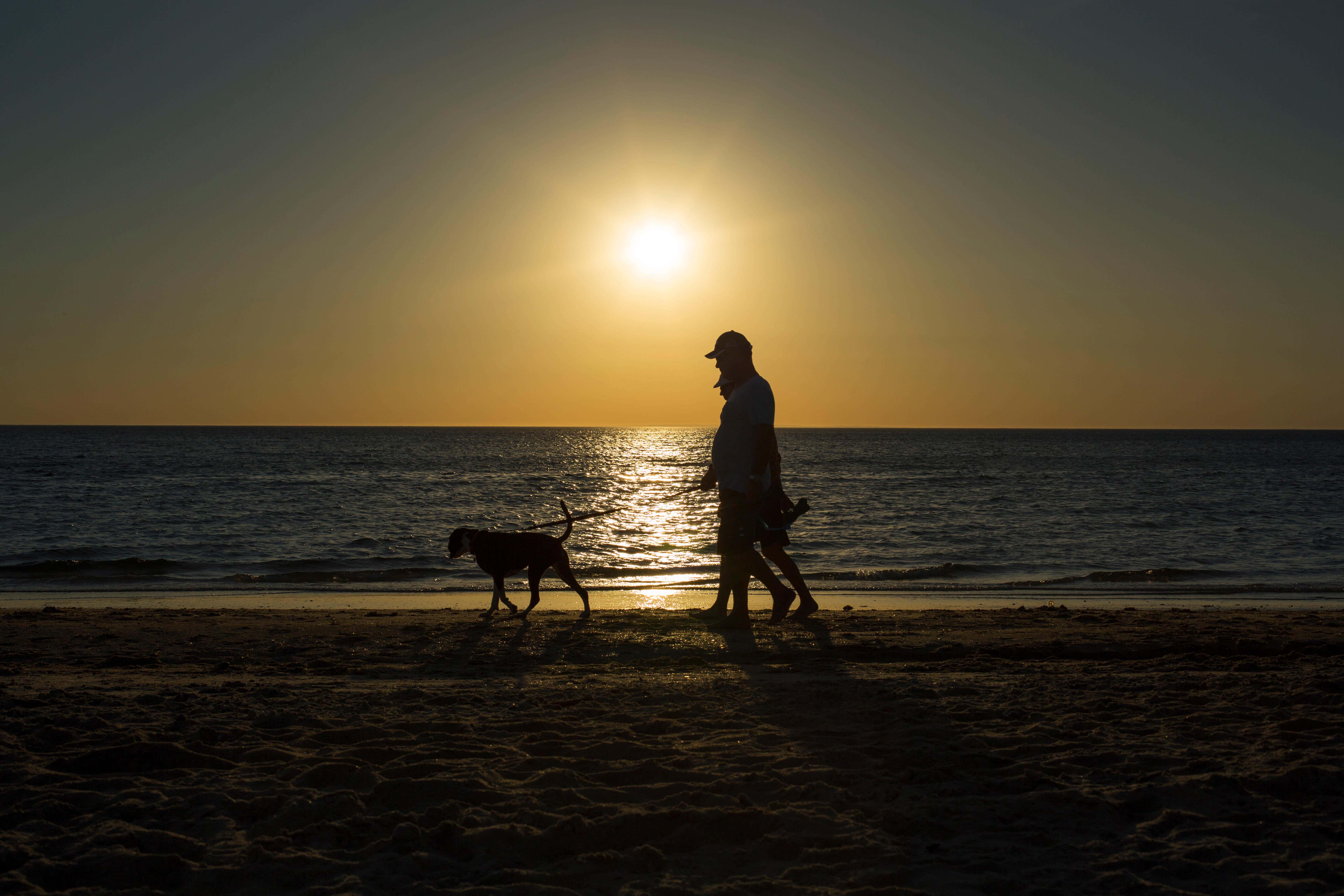 Cases of dog walking injuries have risen in recent years in tandem with an increase in dog ownership (Alamy/PA)