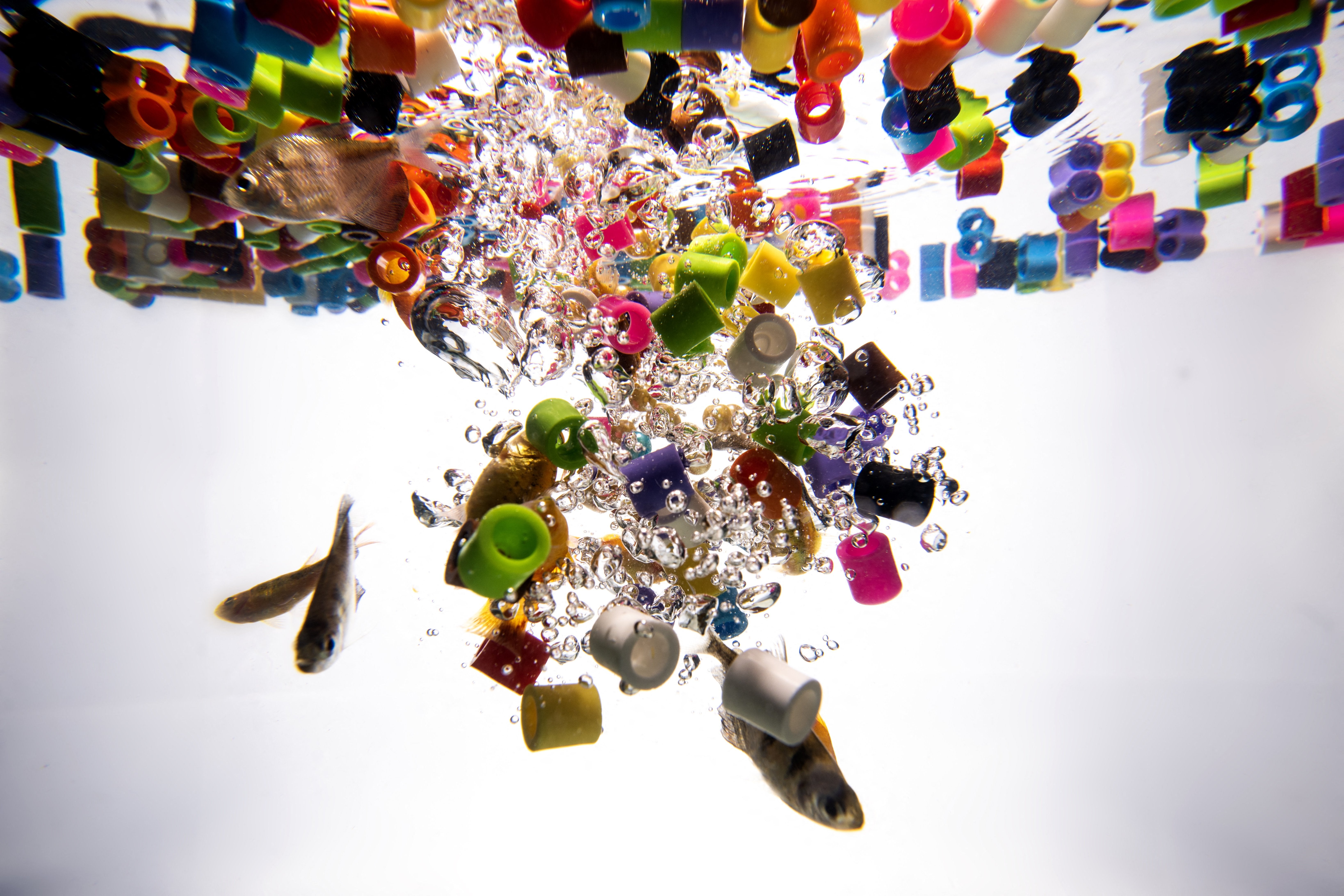 Plastic pieces in water