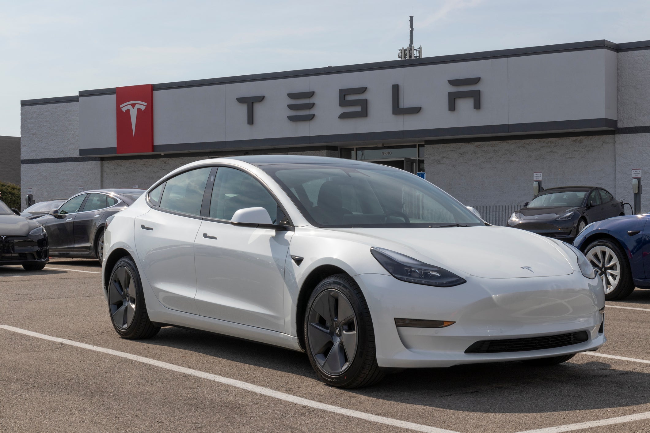 Tesla sales plummet despite surge in drivers buying electric cars