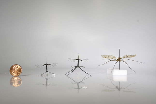 The RoboBee can fly, dive and hover like a real insect
