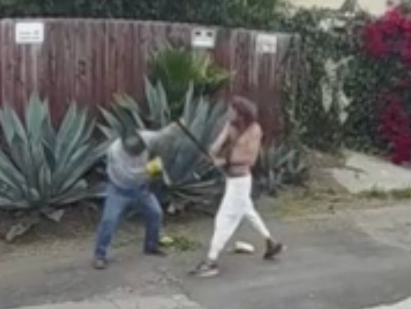 The man attacked Roman after claiming his gardening equipment was too loud