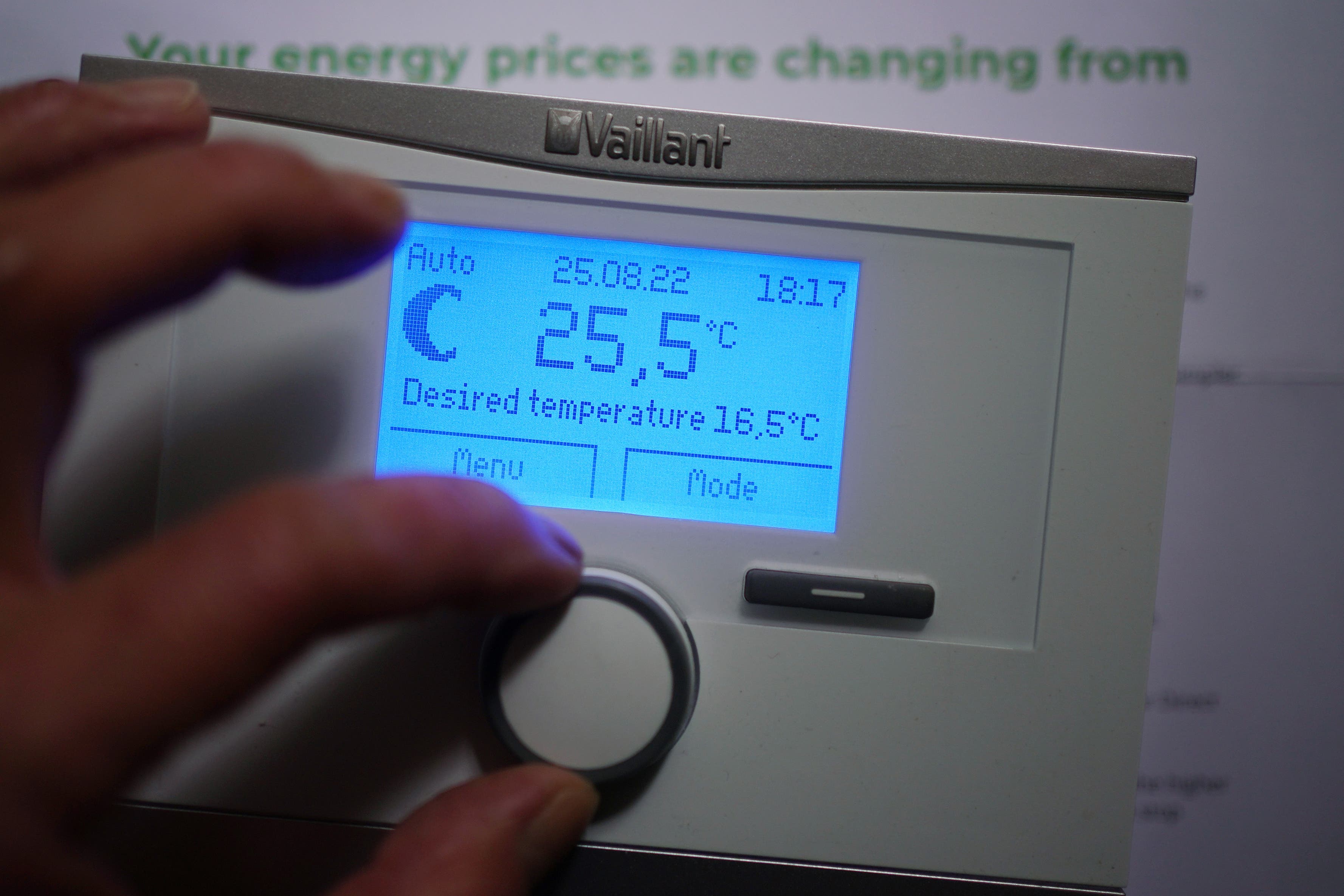 Ofgem’s state of the market report earlier this year revealed a sharp rise in smart time-of-use tariffs over the past year (PA)