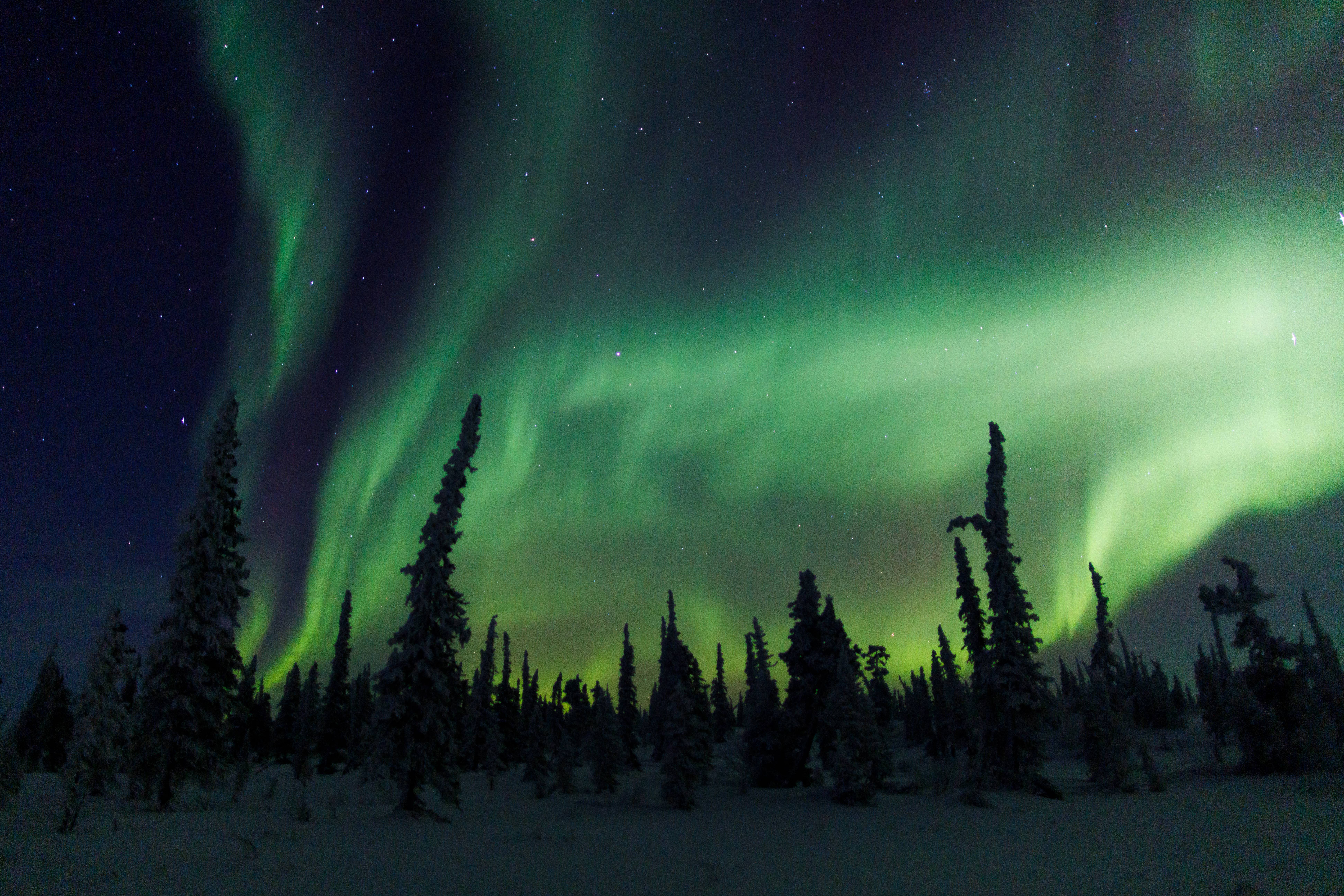 Skywatchers in 15 states may be able to see the Northern Lights typically seen in places such as Iceland and Canada this week