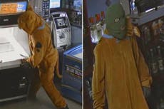 Ruh roh! Burglar in Scooby-Doo suit broke into highway convenience store in early morning raid: cops
