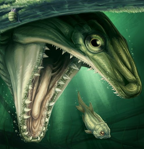 An artist’s rendition of the newly discovered fish, Sphyragnathus tyche