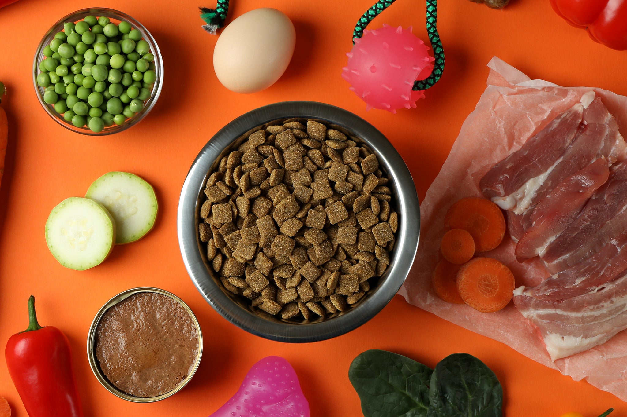 Many pets are now eating better than their human counterparts