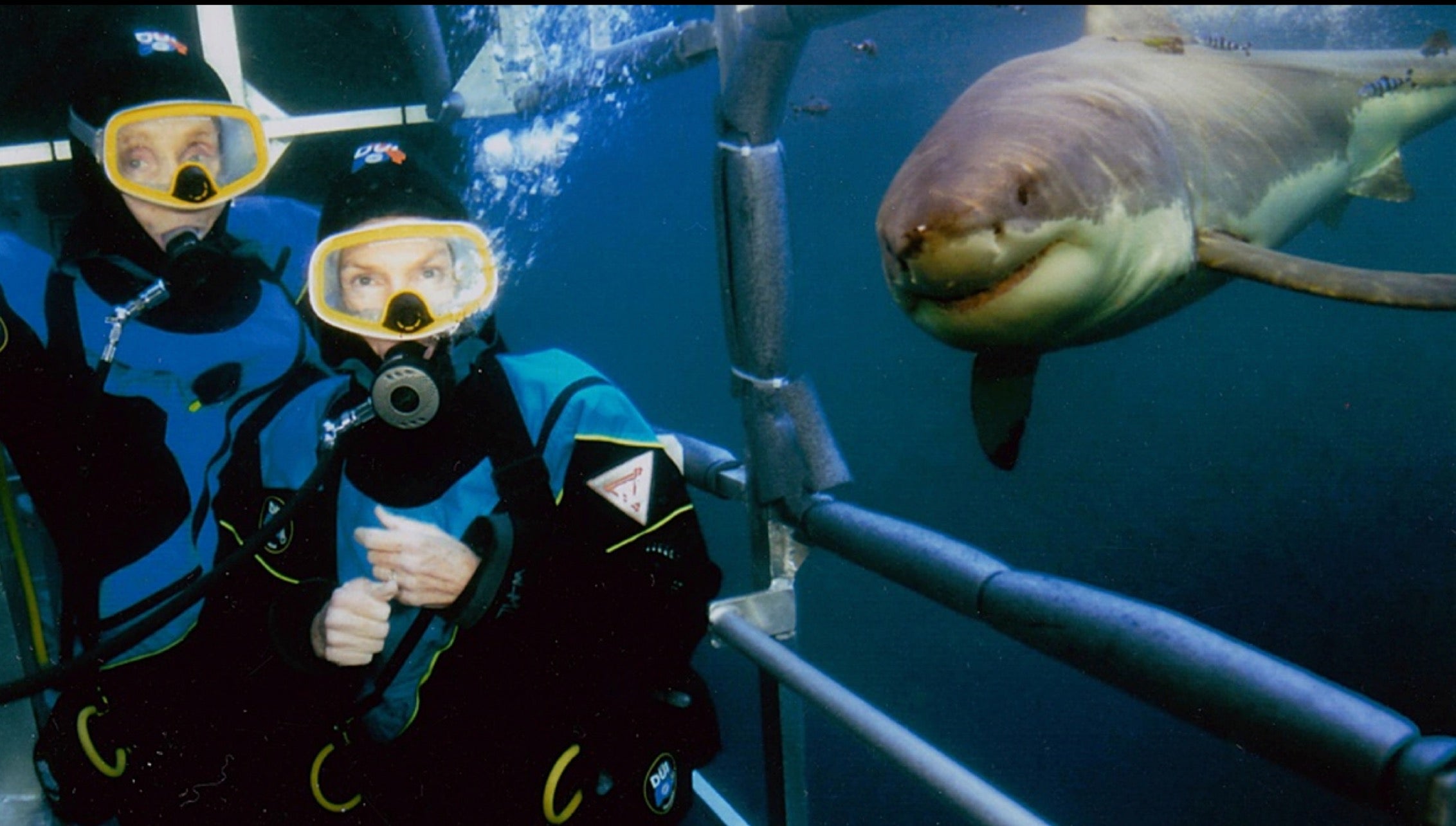 Wendy and Peter Benchley on one of their many shark dives